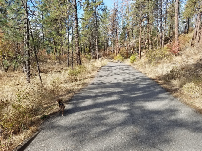 20180928_101107 trimmed_1.jpg
