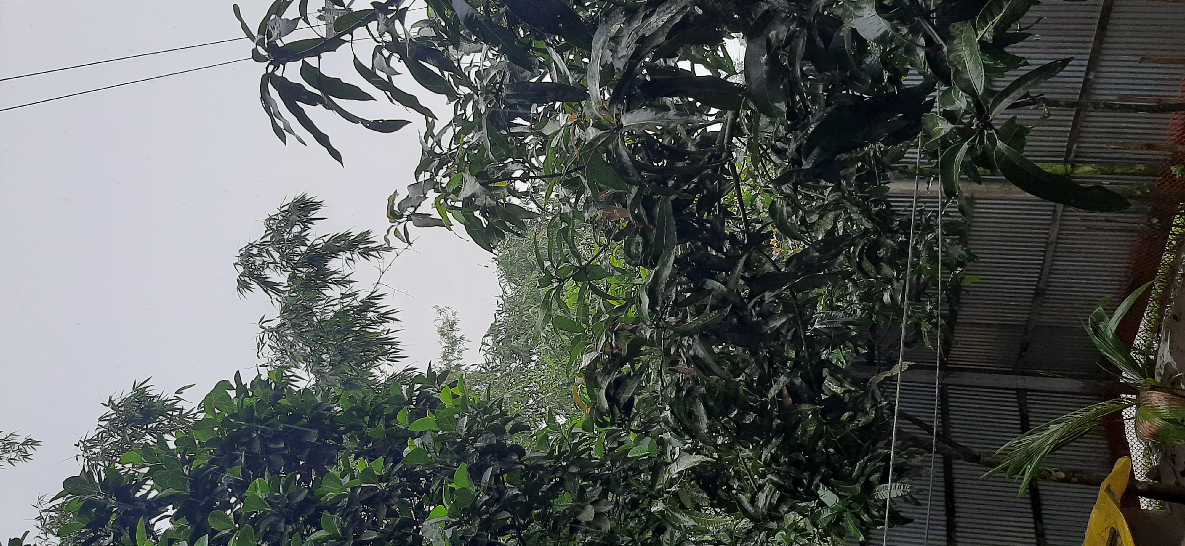 20230711_154846.jpg