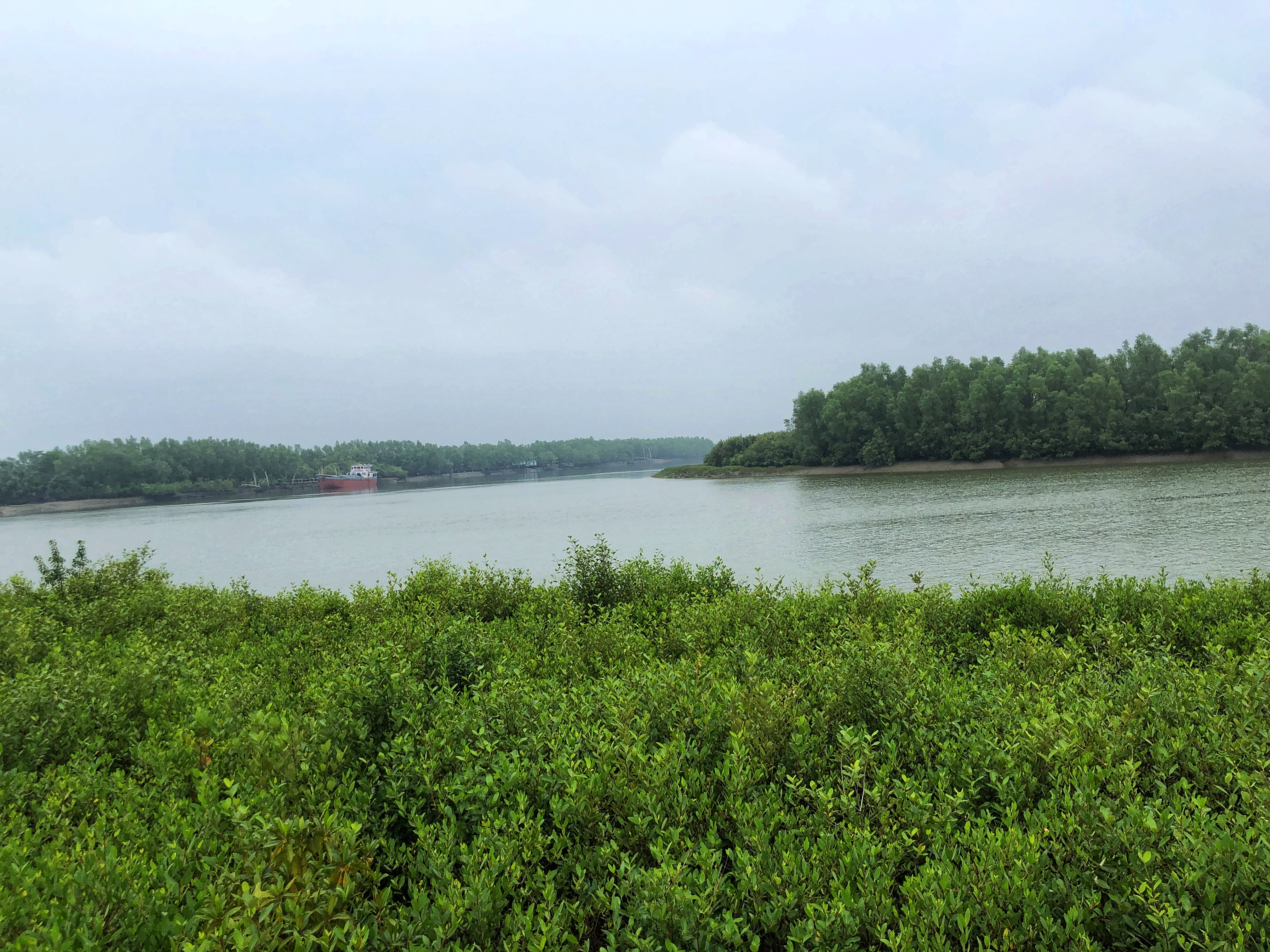 IMG_8786-01.jpeg