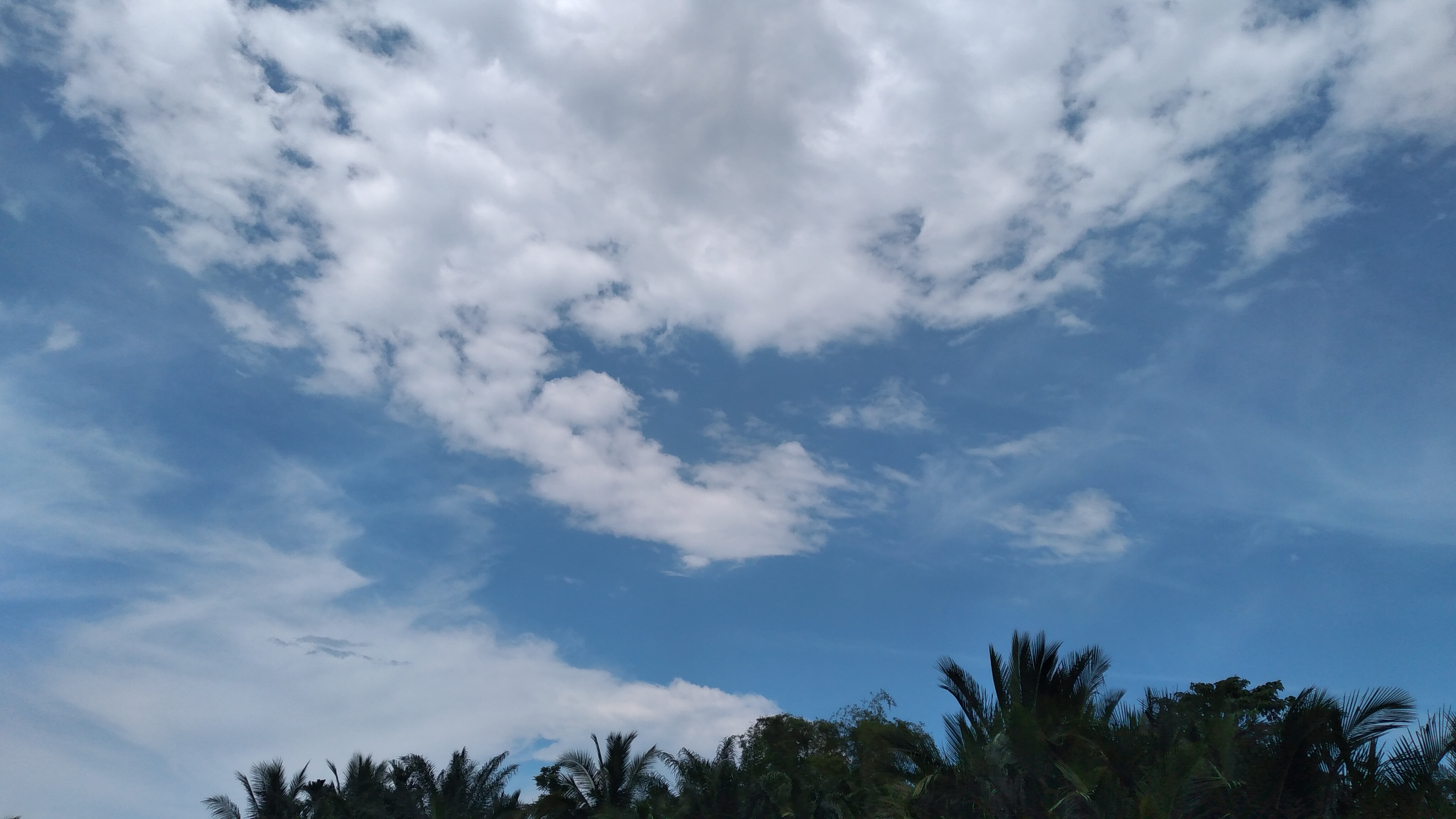 20220926_141322.jpg