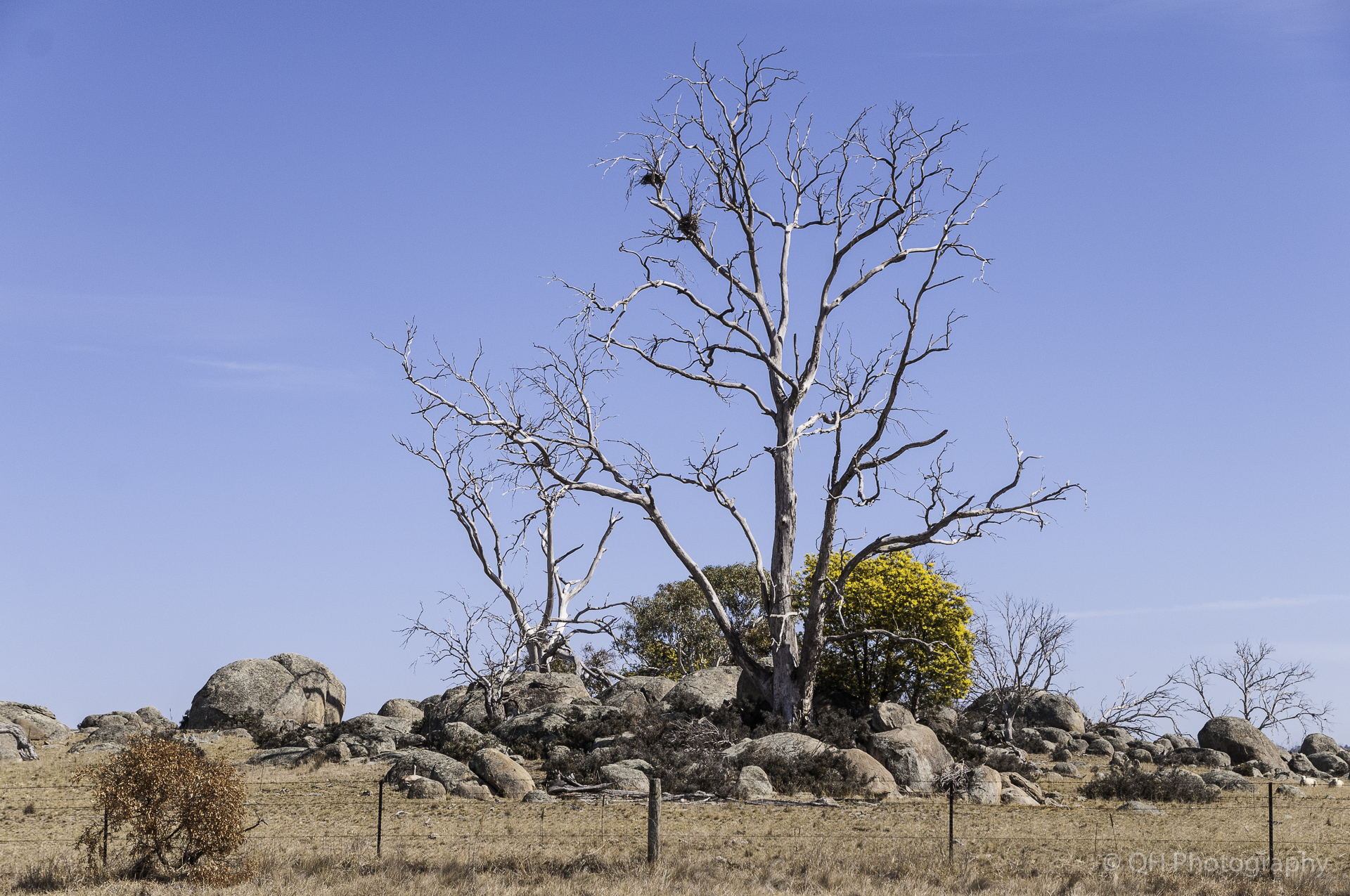 Monaro Plains-4800.jpg