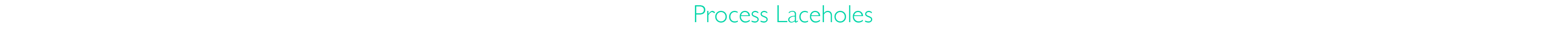 processlaceholes_text.png