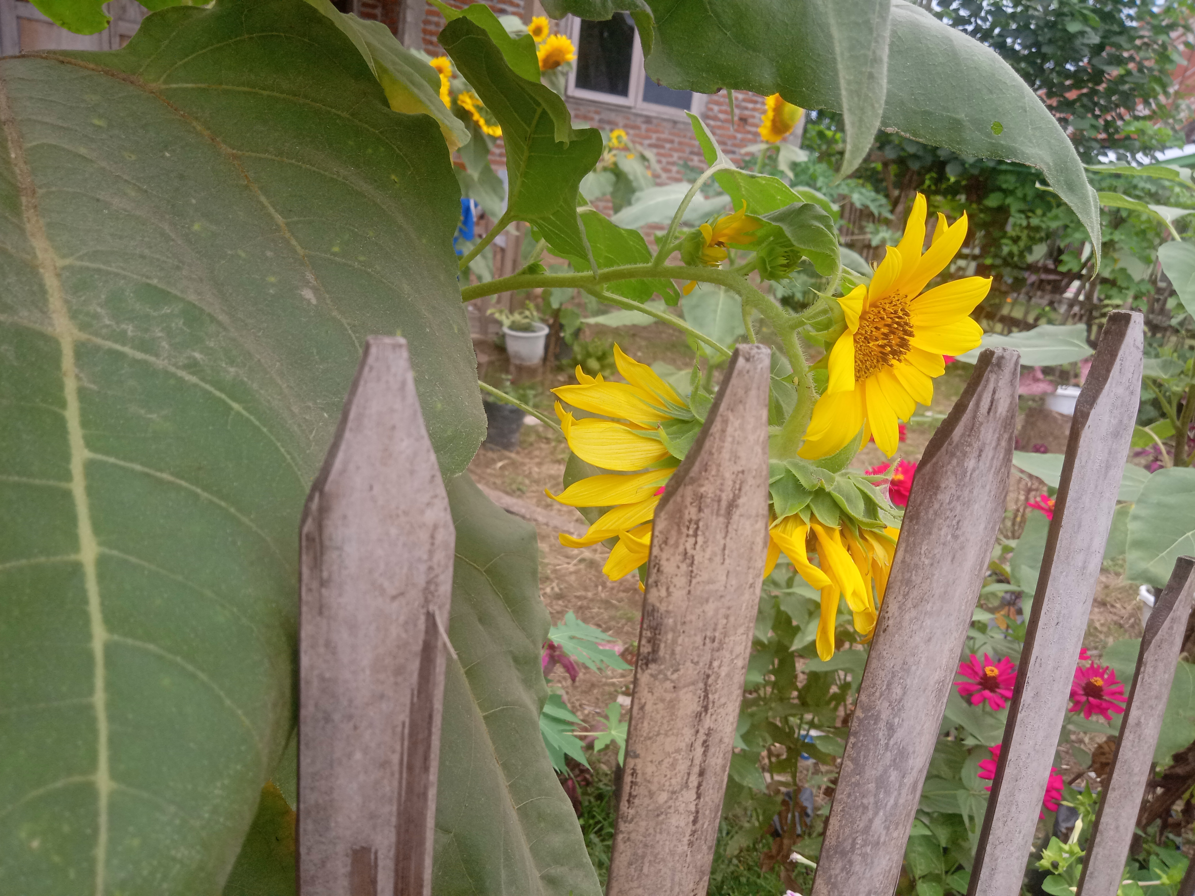 IMG20210625152751.jpg
