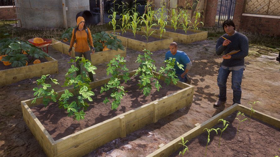 farming.jpg
