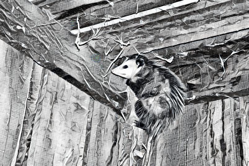 imageedit-12-8471744544.jpg