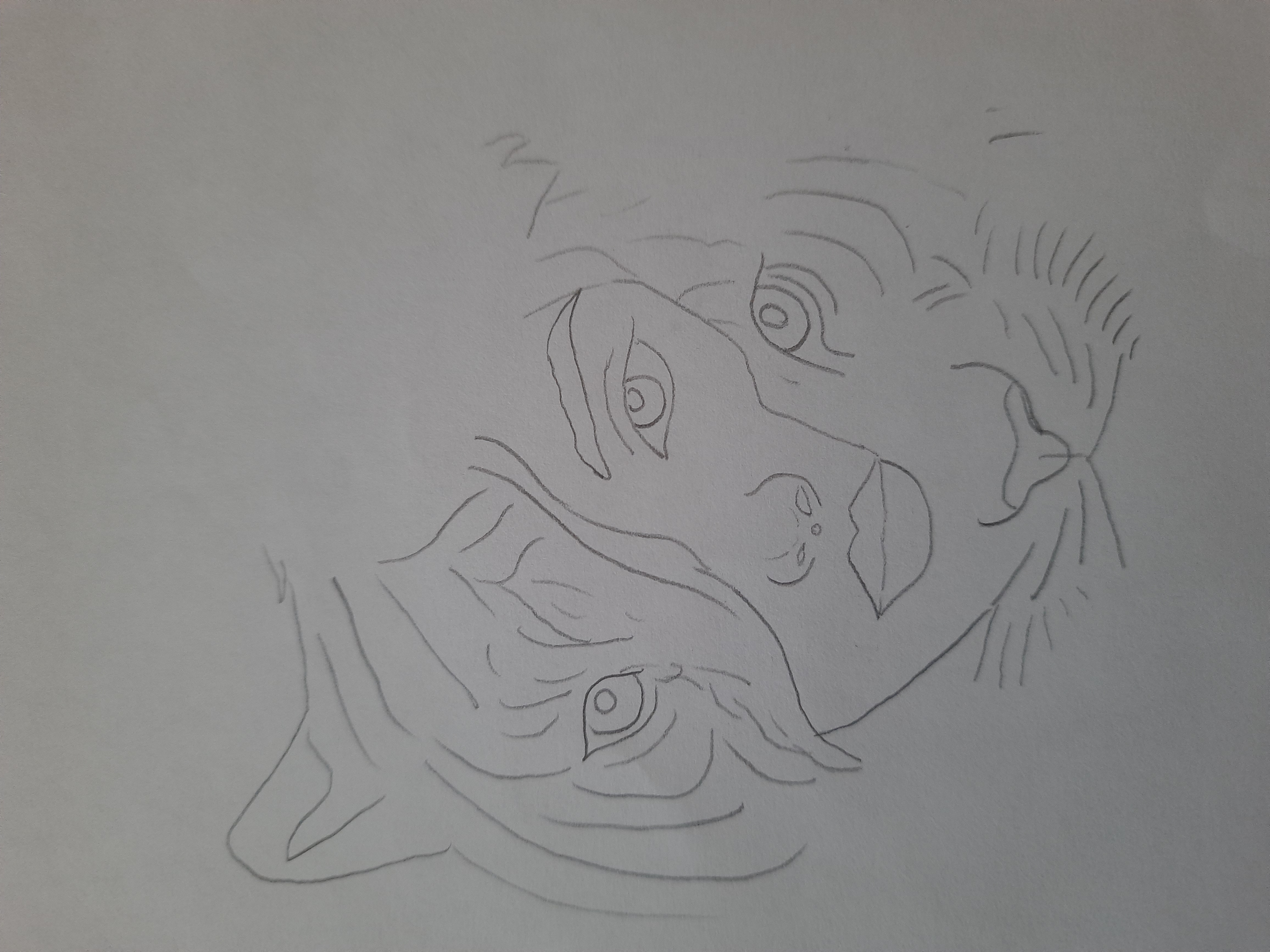 20260212_084647.jpg