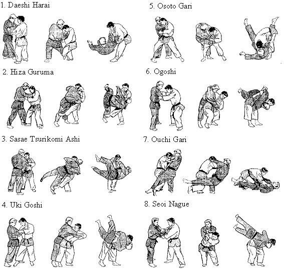 e26c77ac442c886ead1a990667453555--judo-throws-aikido.jpg