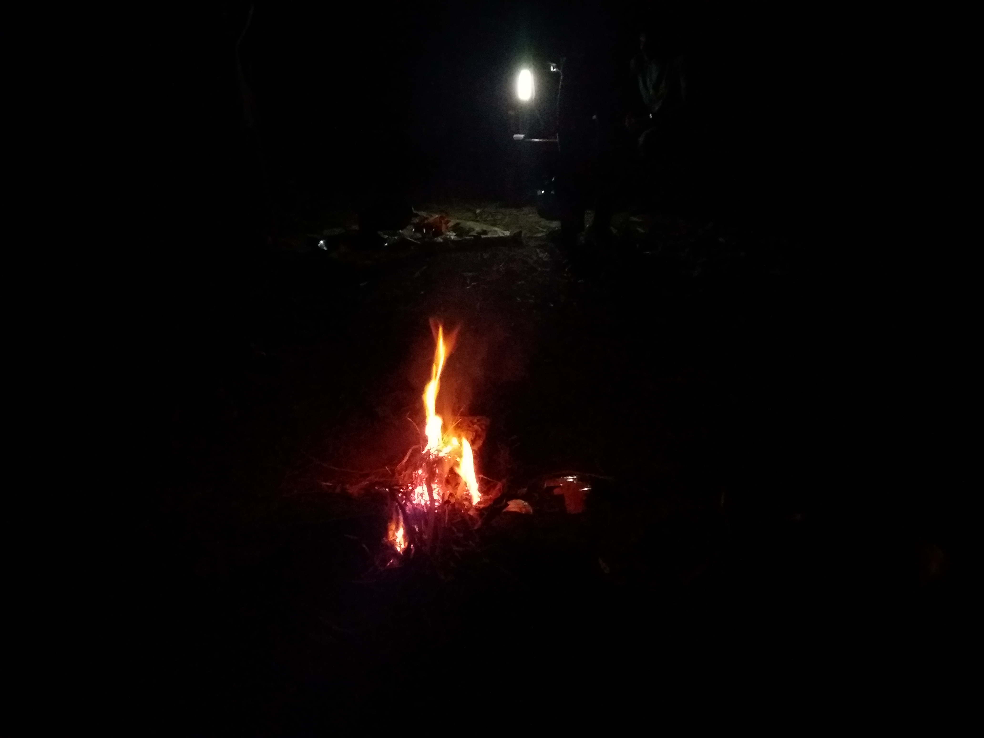 20201101_175921.jpg