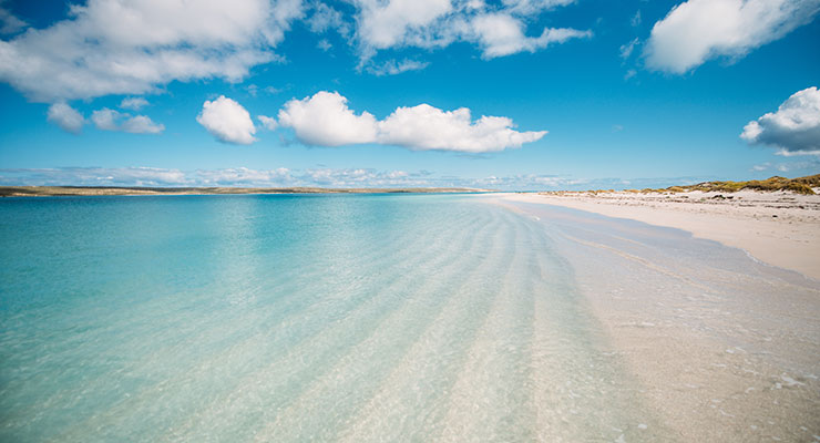 Sun-Sea-Dirk-Hartog-Island-Beach-740px.jpg