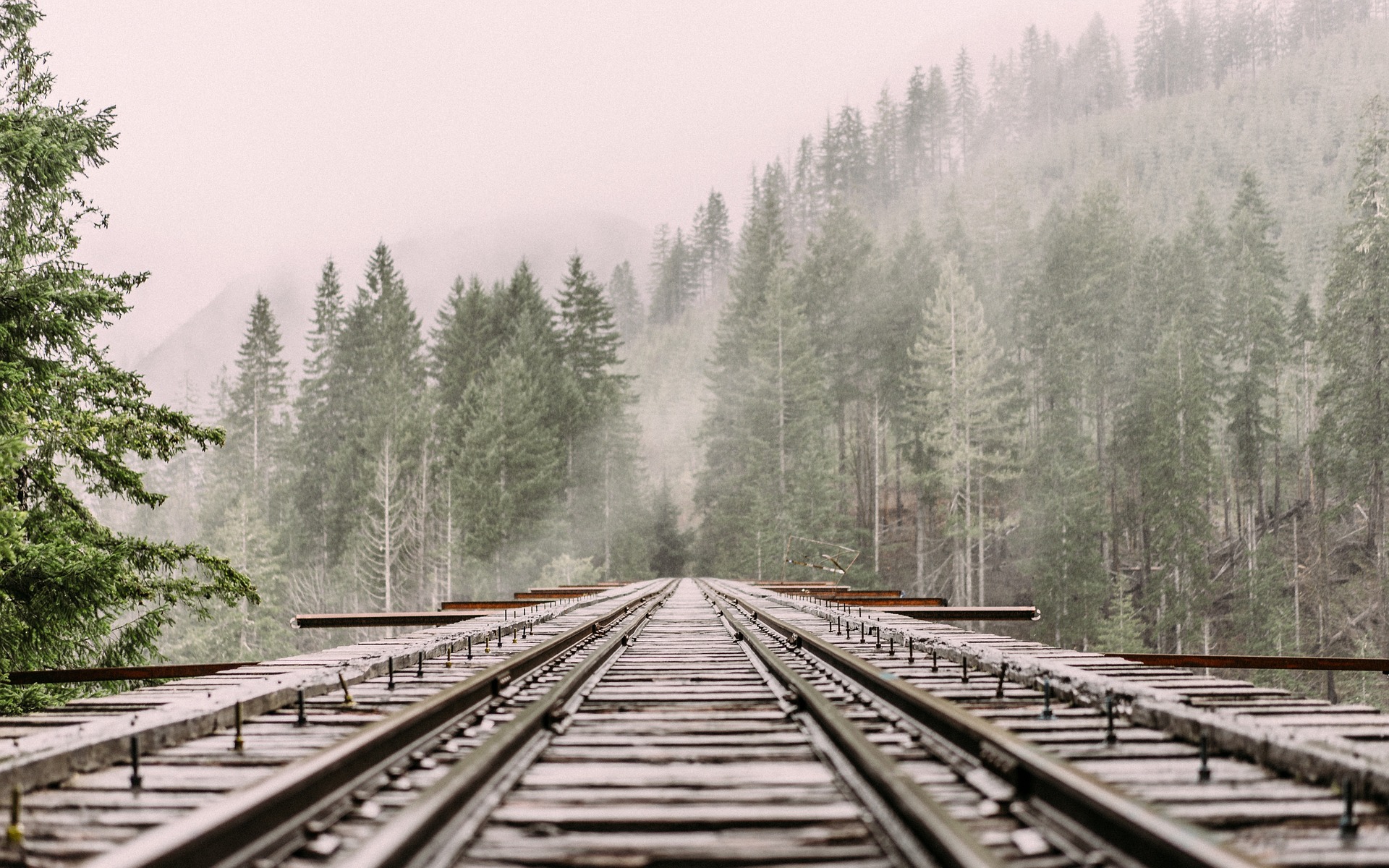 railway-1245906_1920.jpg