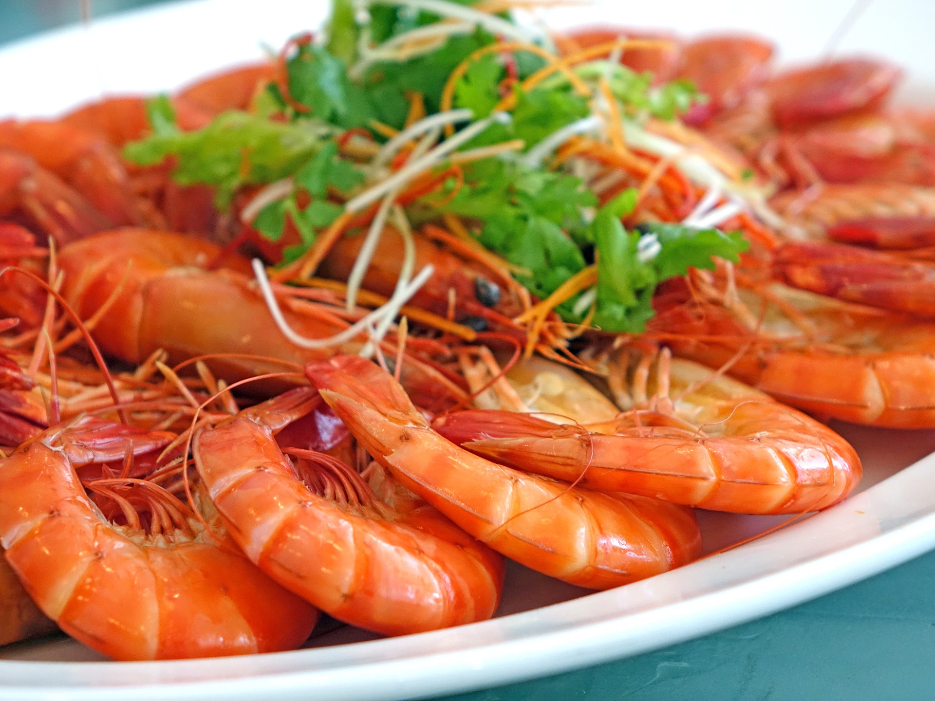 prawns-959219_1920.jpg