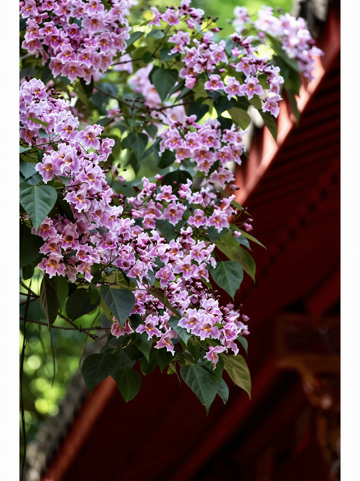 216.webp