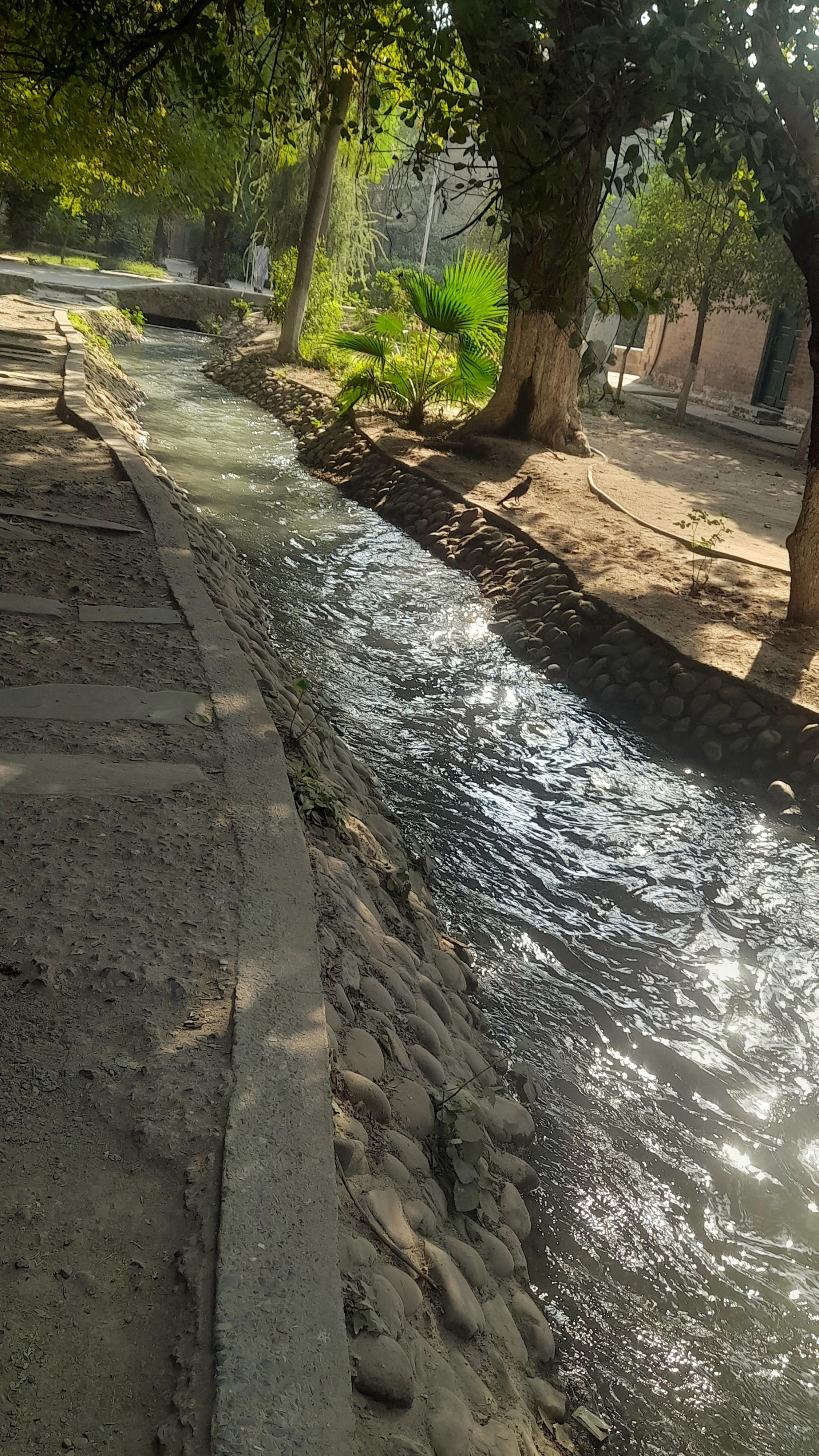20251113_135333.jpg