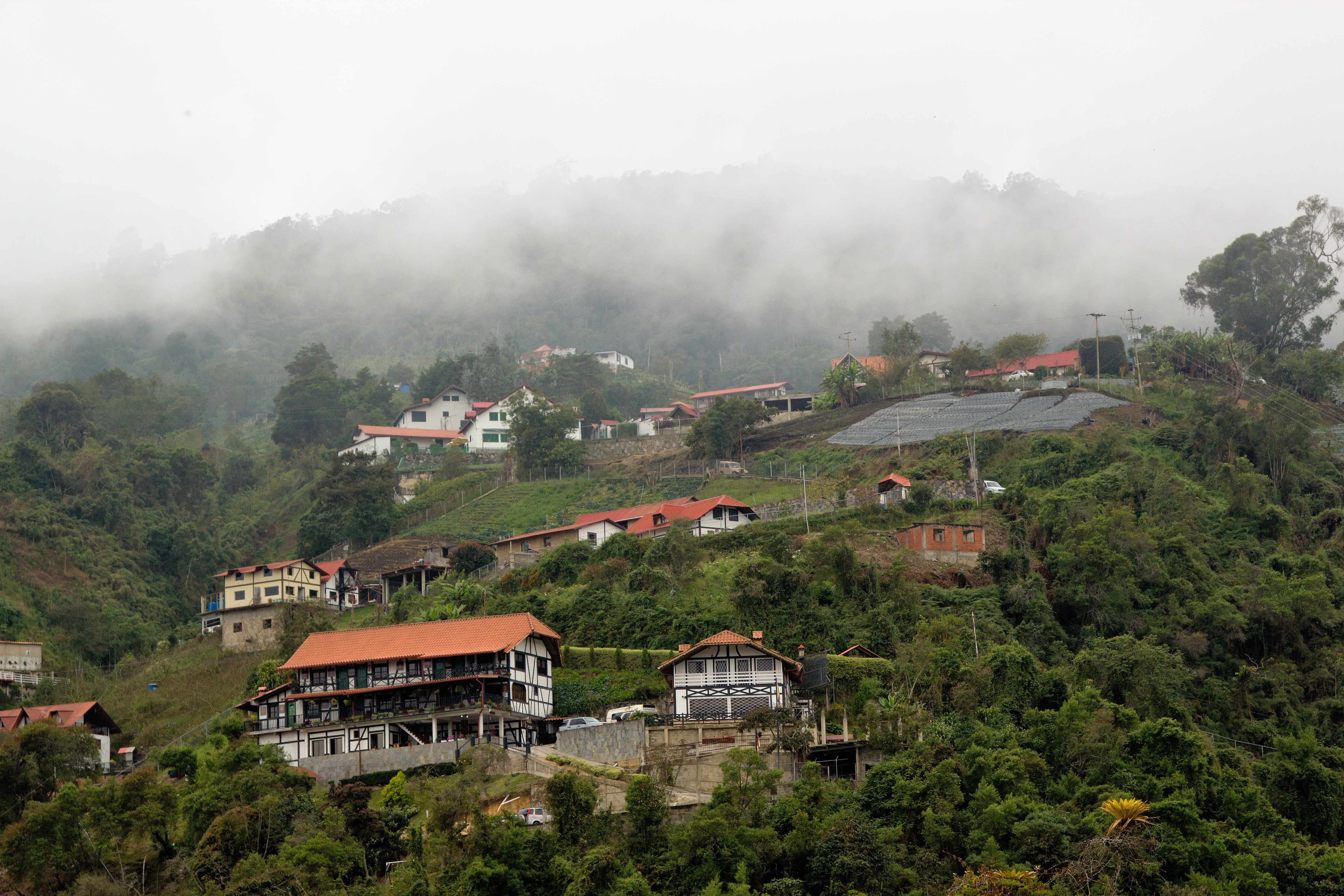 main_image