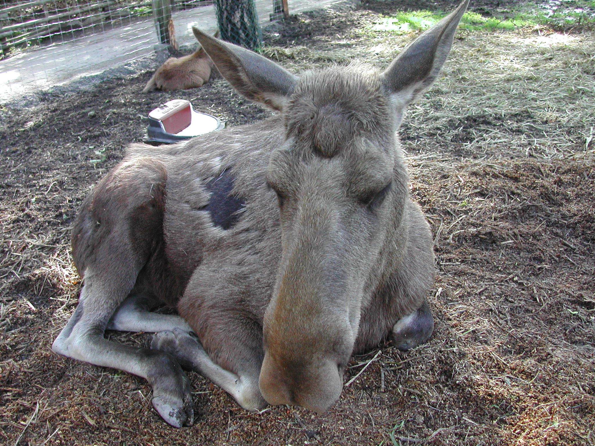 DSCN3548.JPG