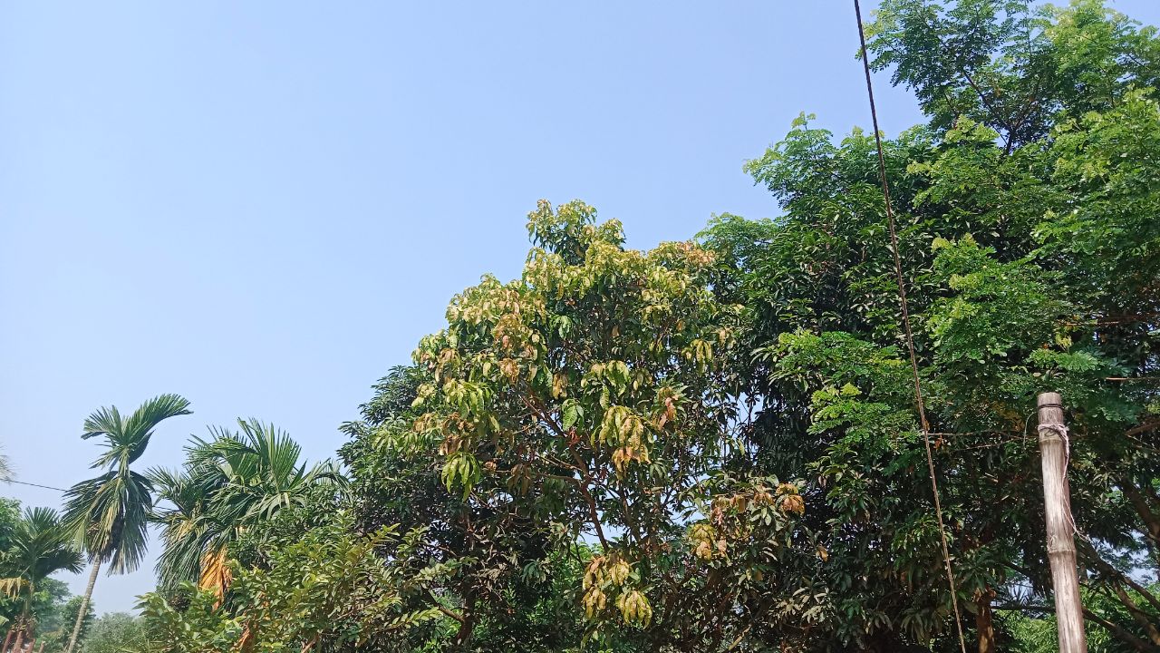 IMG_20251026_211225_717.jpg