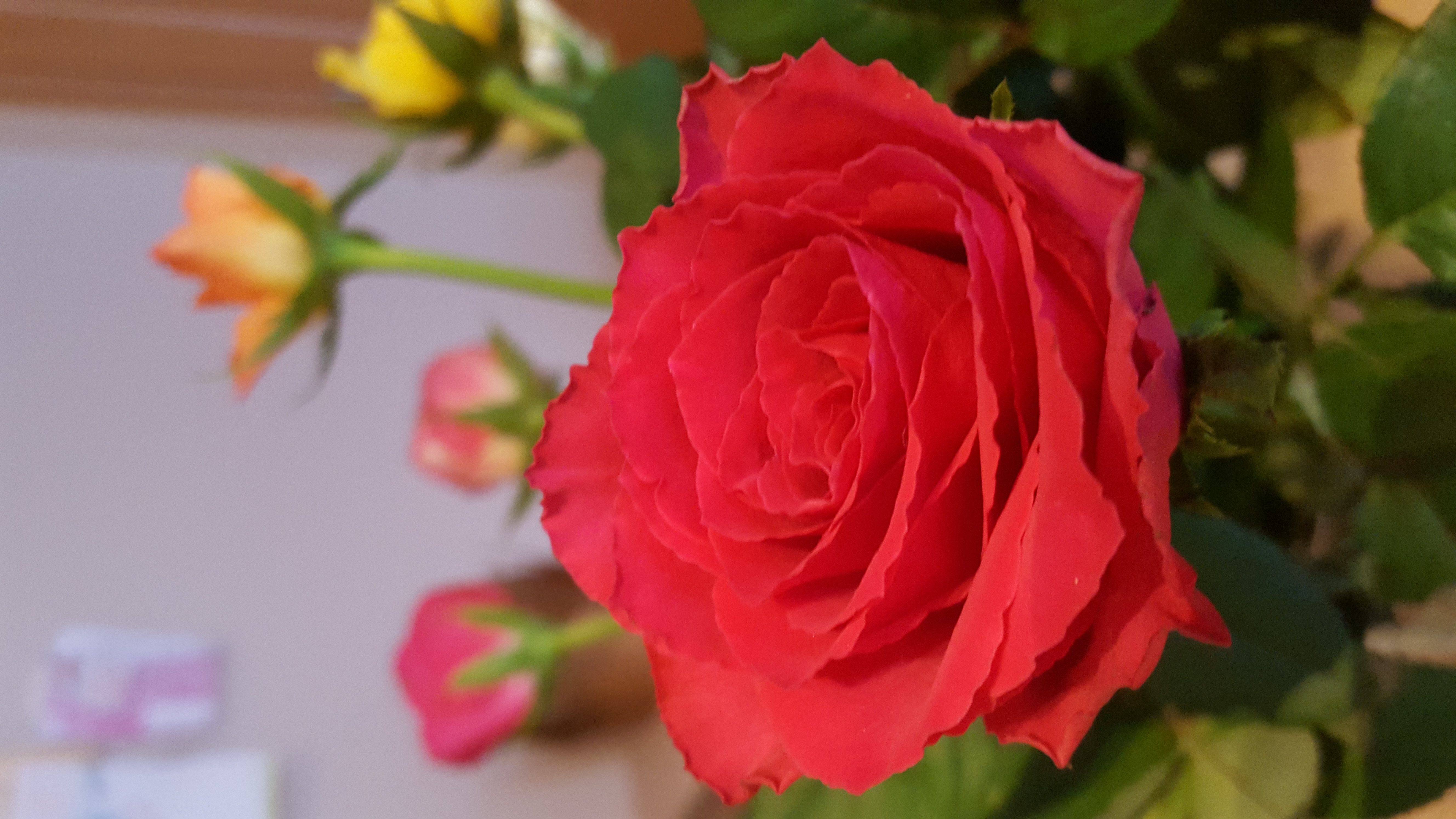 20190317_171523.jpg