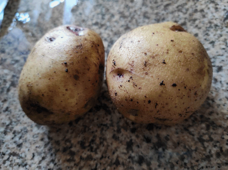 papas sancochadas.gif