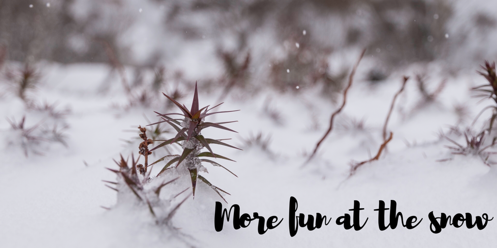More fun at the snow