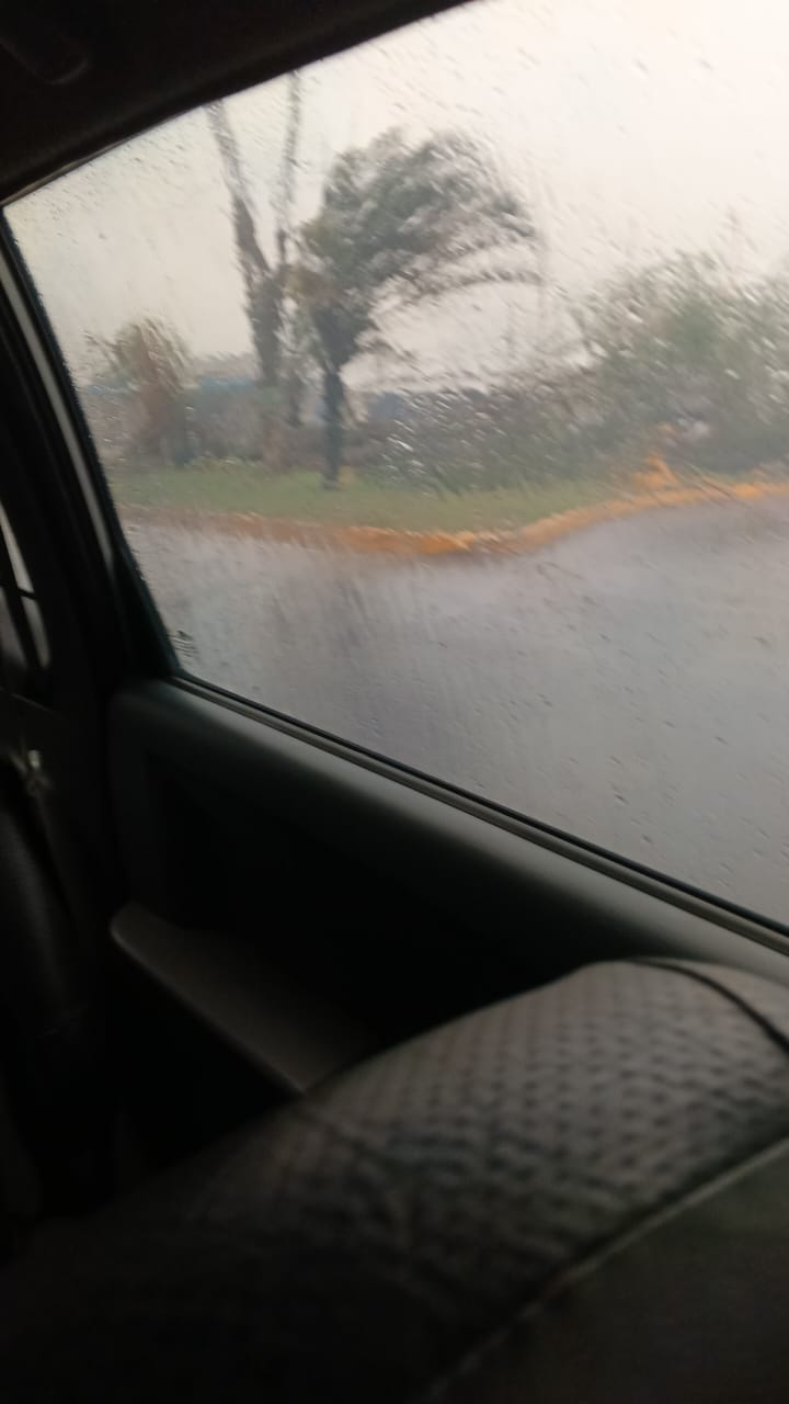 1000667076.jpg