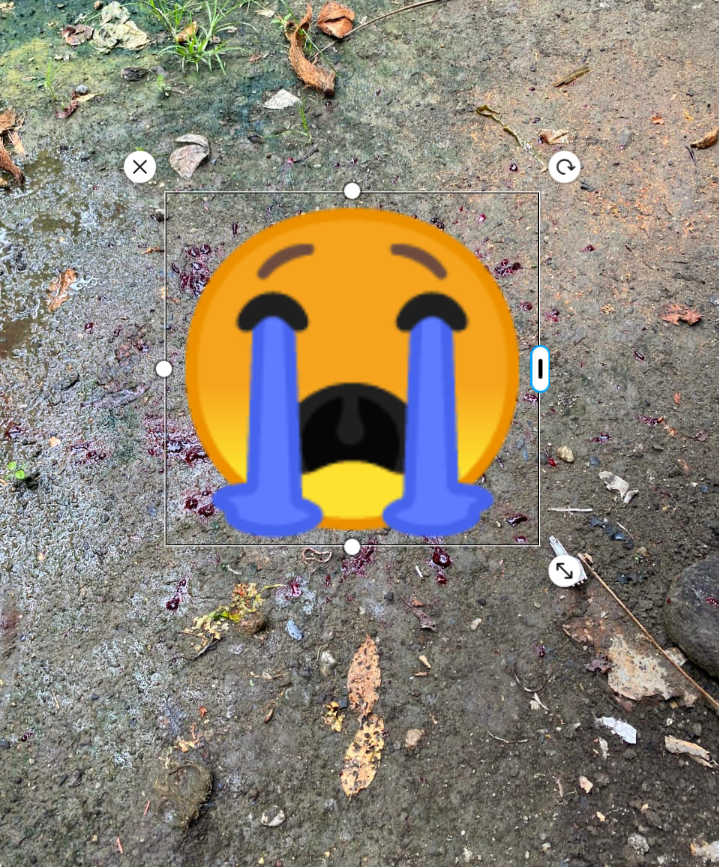 Screenshot_20241225-233248.png