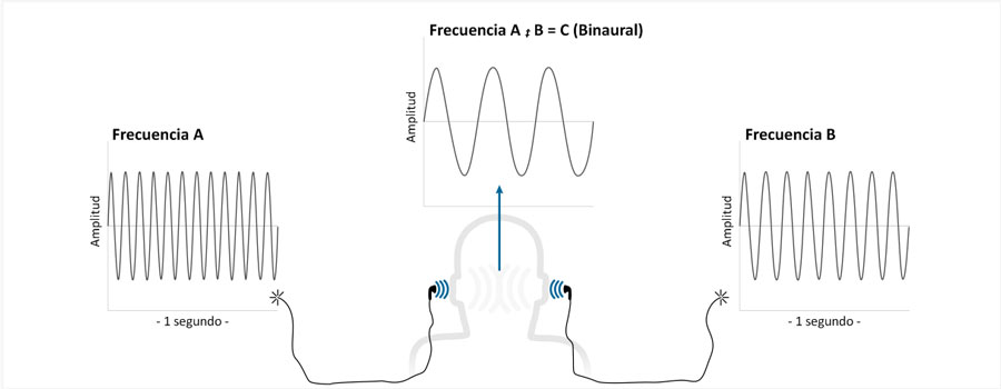 r5.jpg