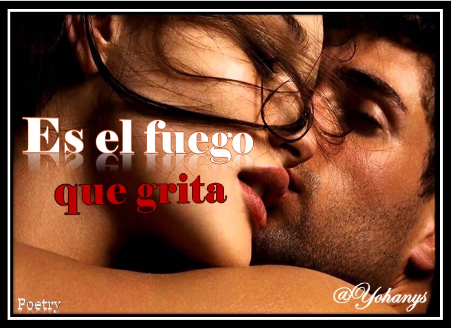 portada es el fuego que grita.jpg