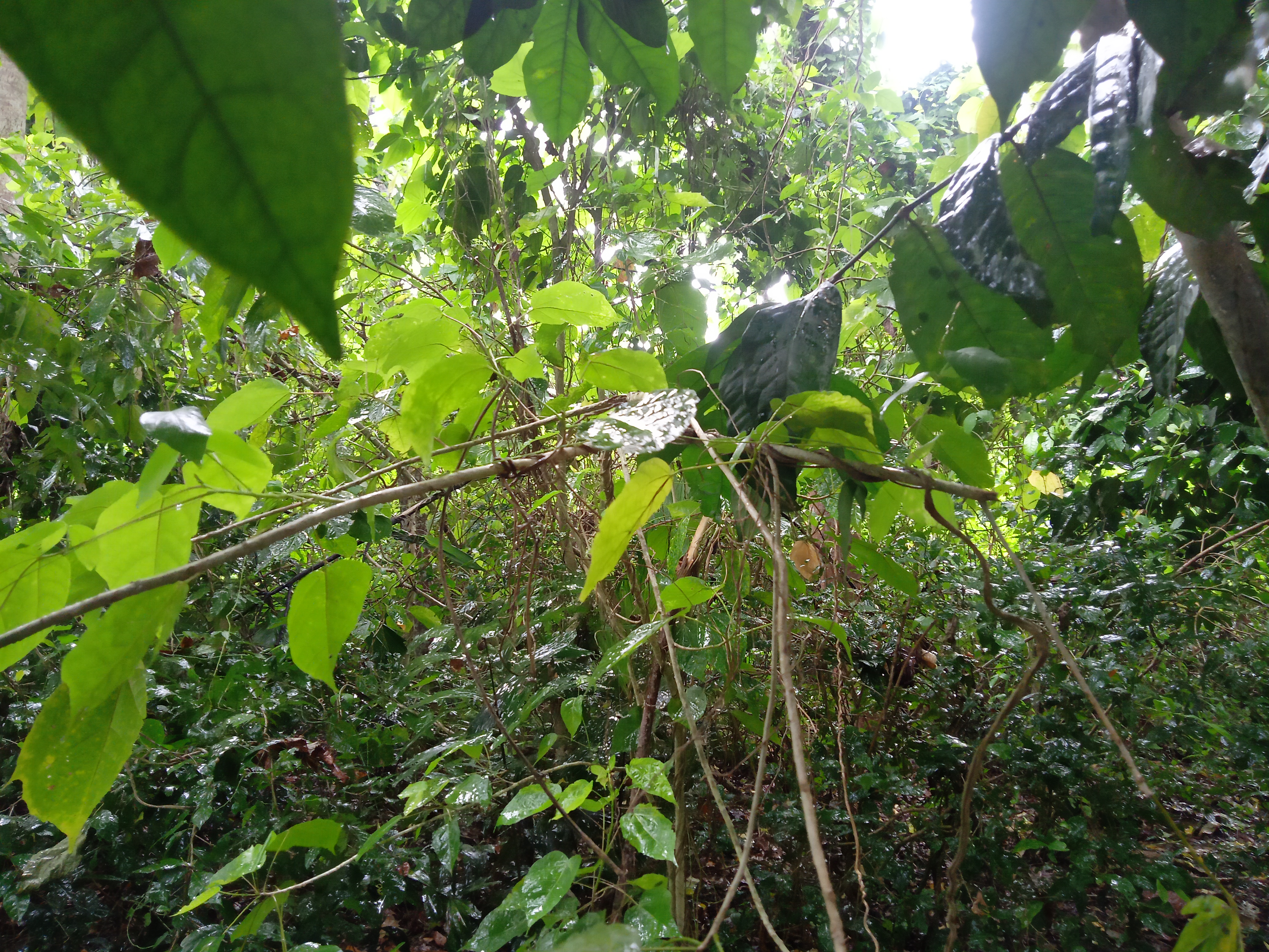IMG20210531144043.jpg