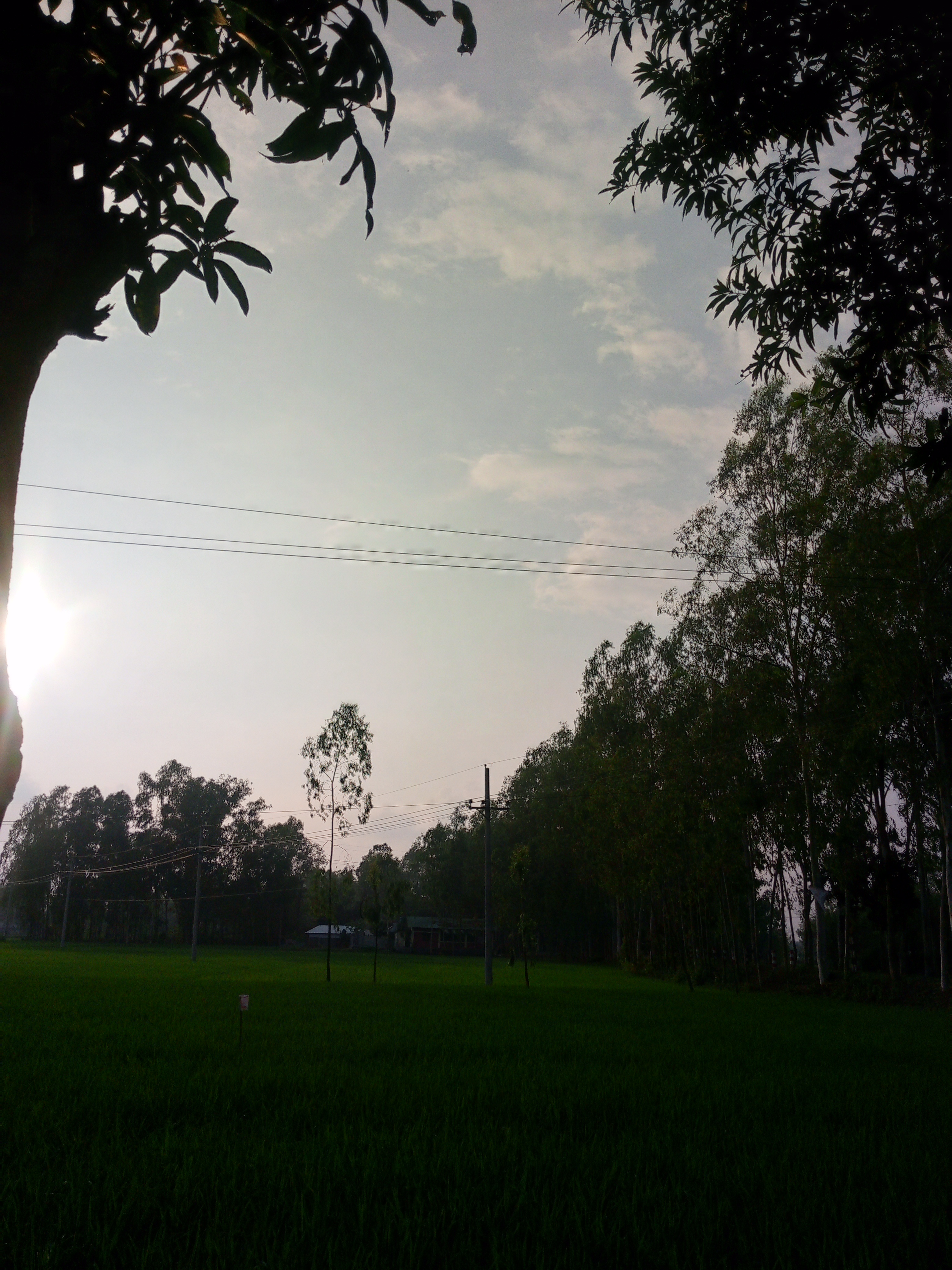 IMG_20260322_170614_656.jpg