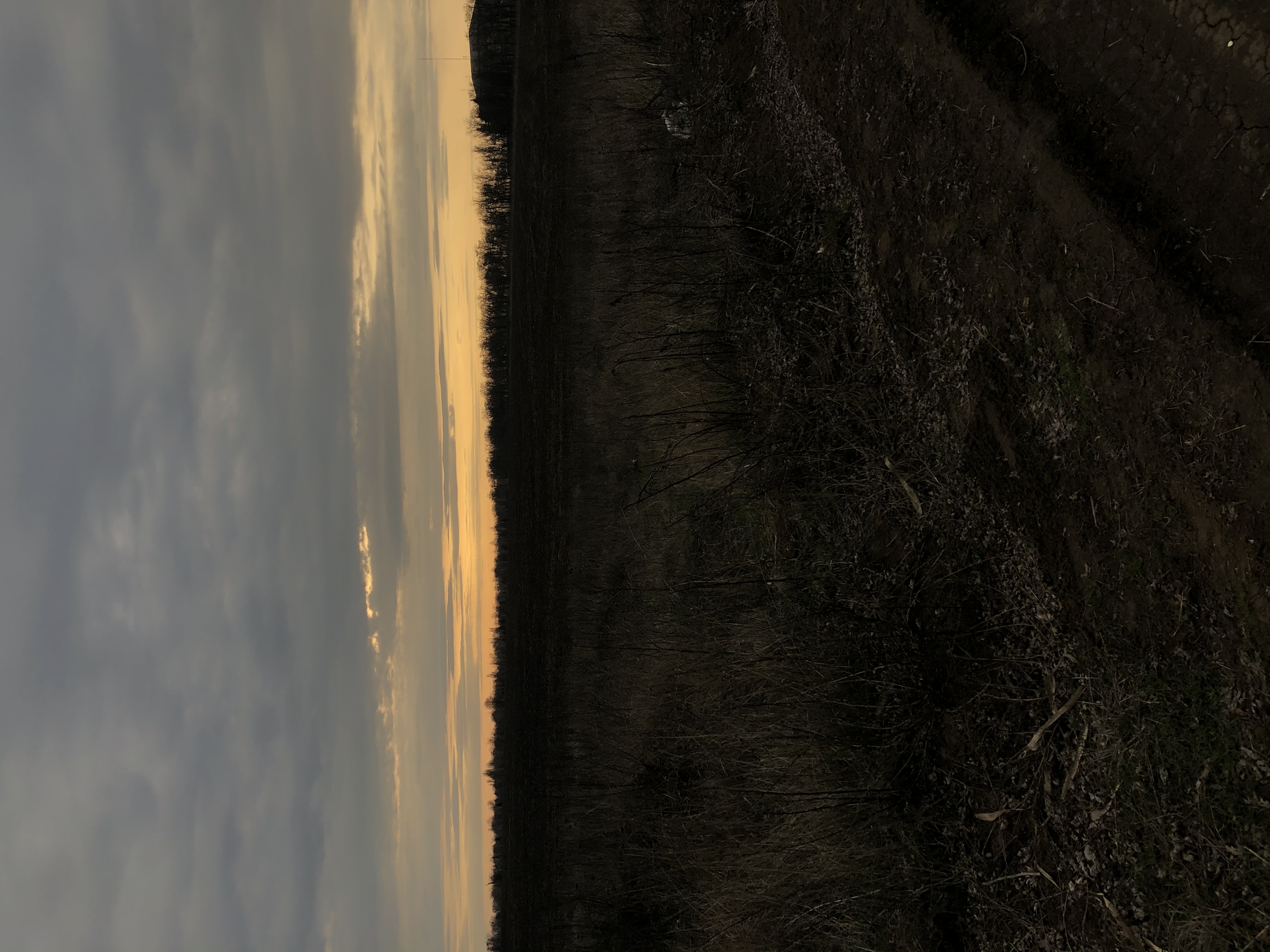 AD1CEB7D-6862-4F7B-88CF-5FAF3F4CFDC3.jpeg