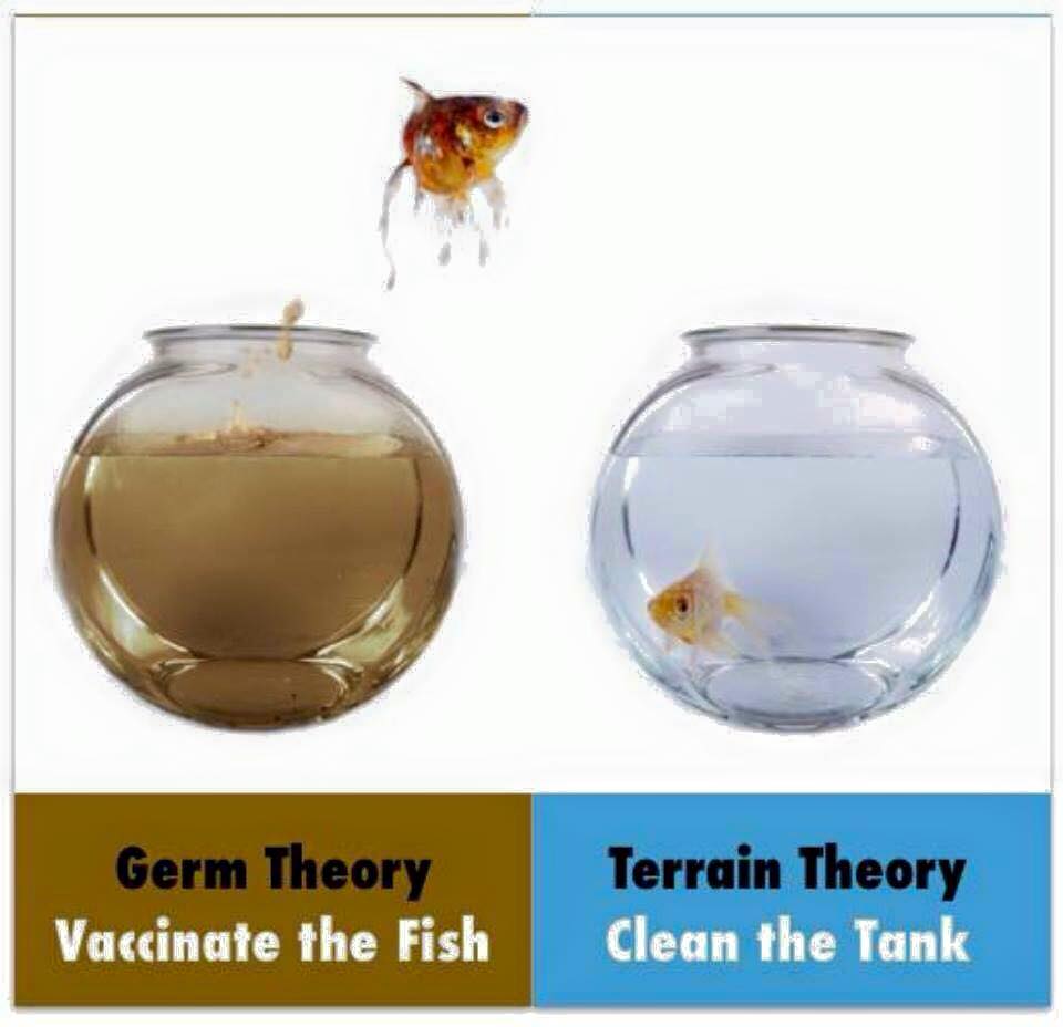 inner-terrain-vs-outer-terrain-germ-theory-vaccines.jpg