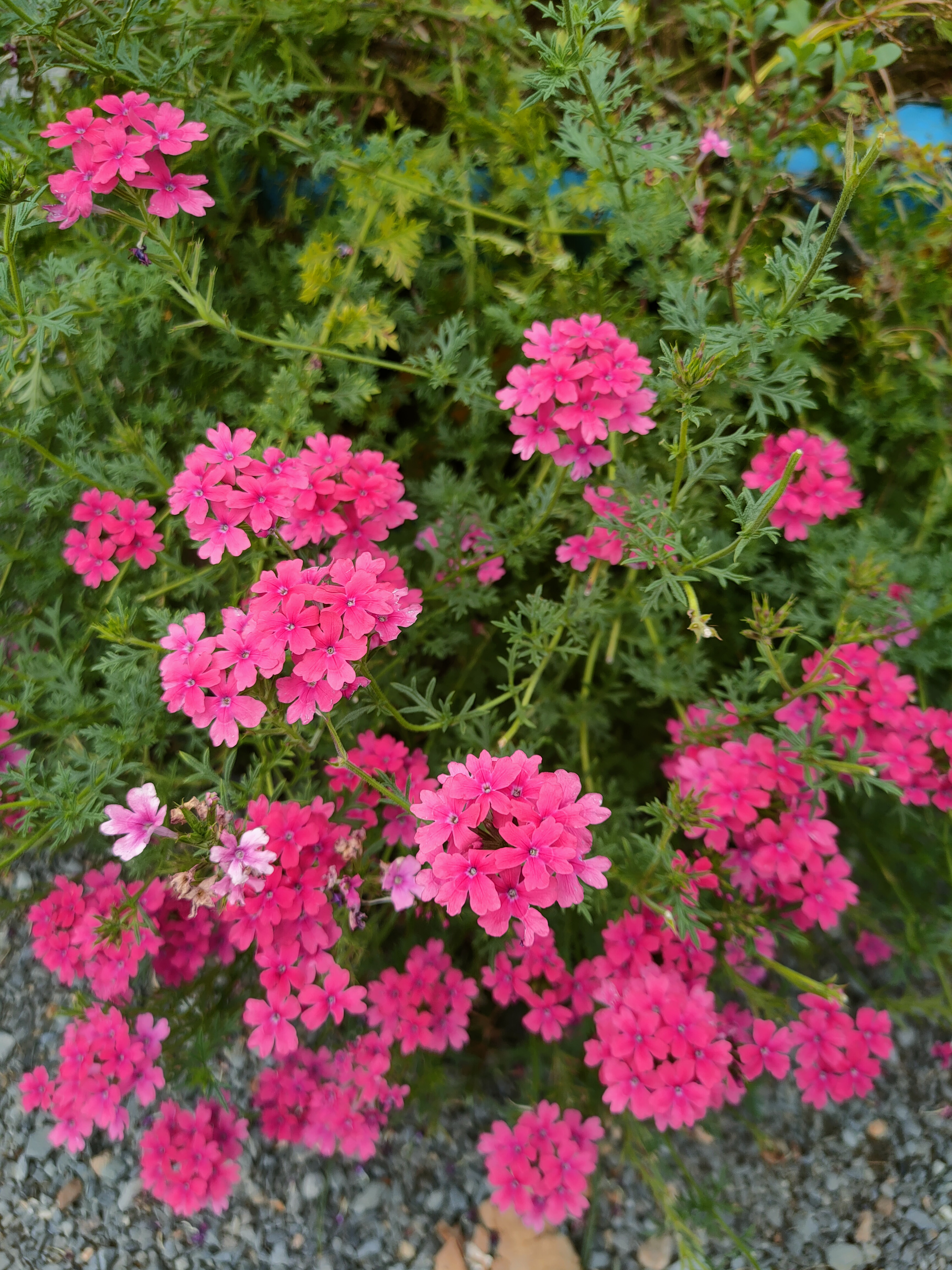 IMG20240914162353.jpg