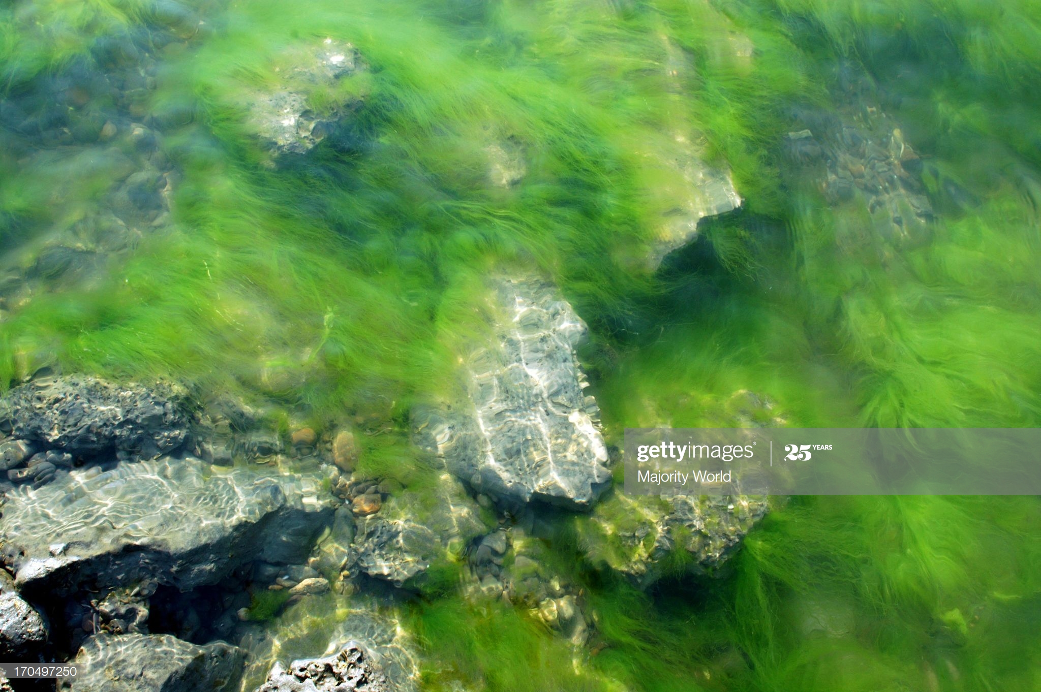 gettyimages-170497250-2048x2048.jpg
