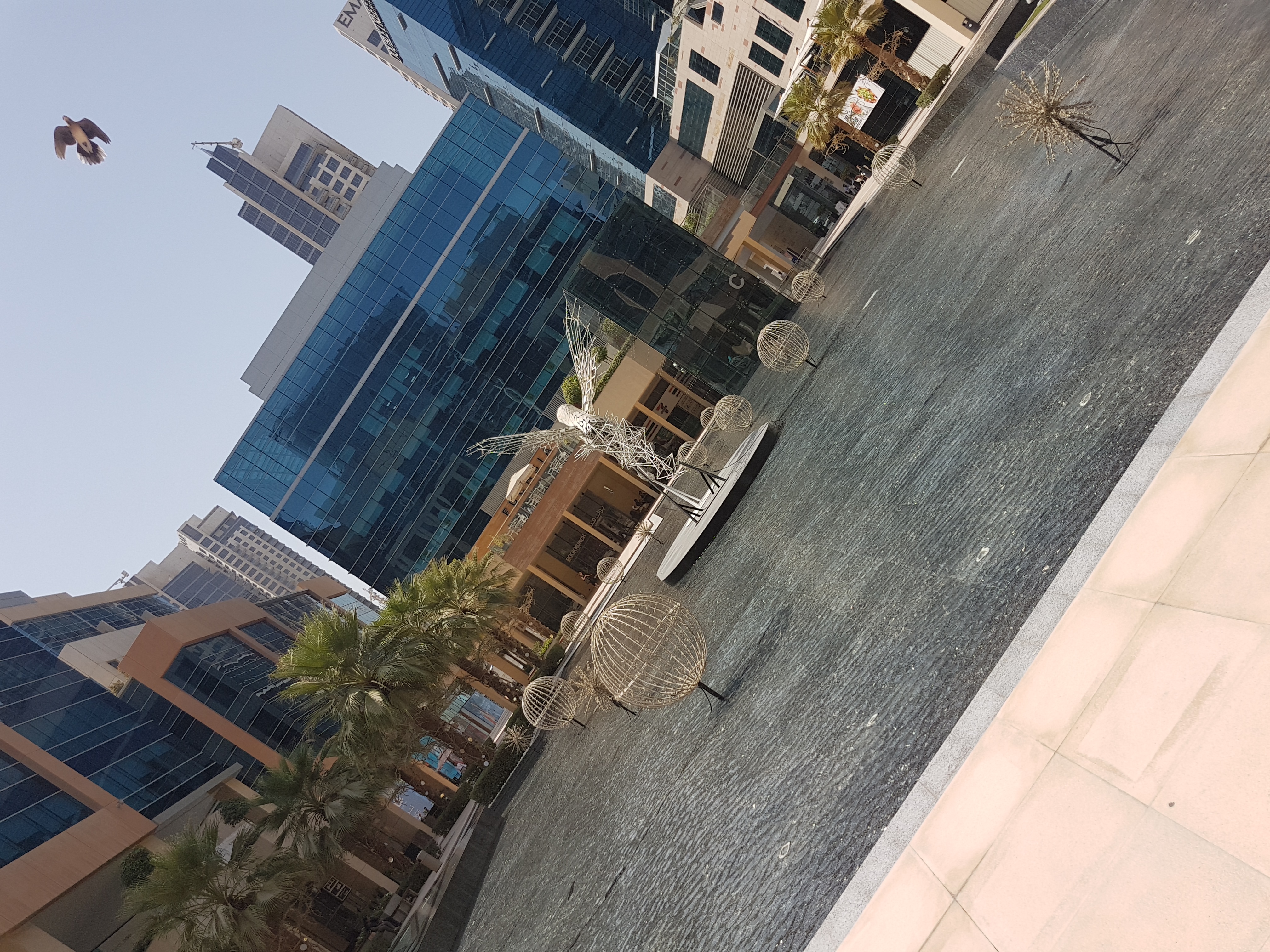 20180910_134451.jpg