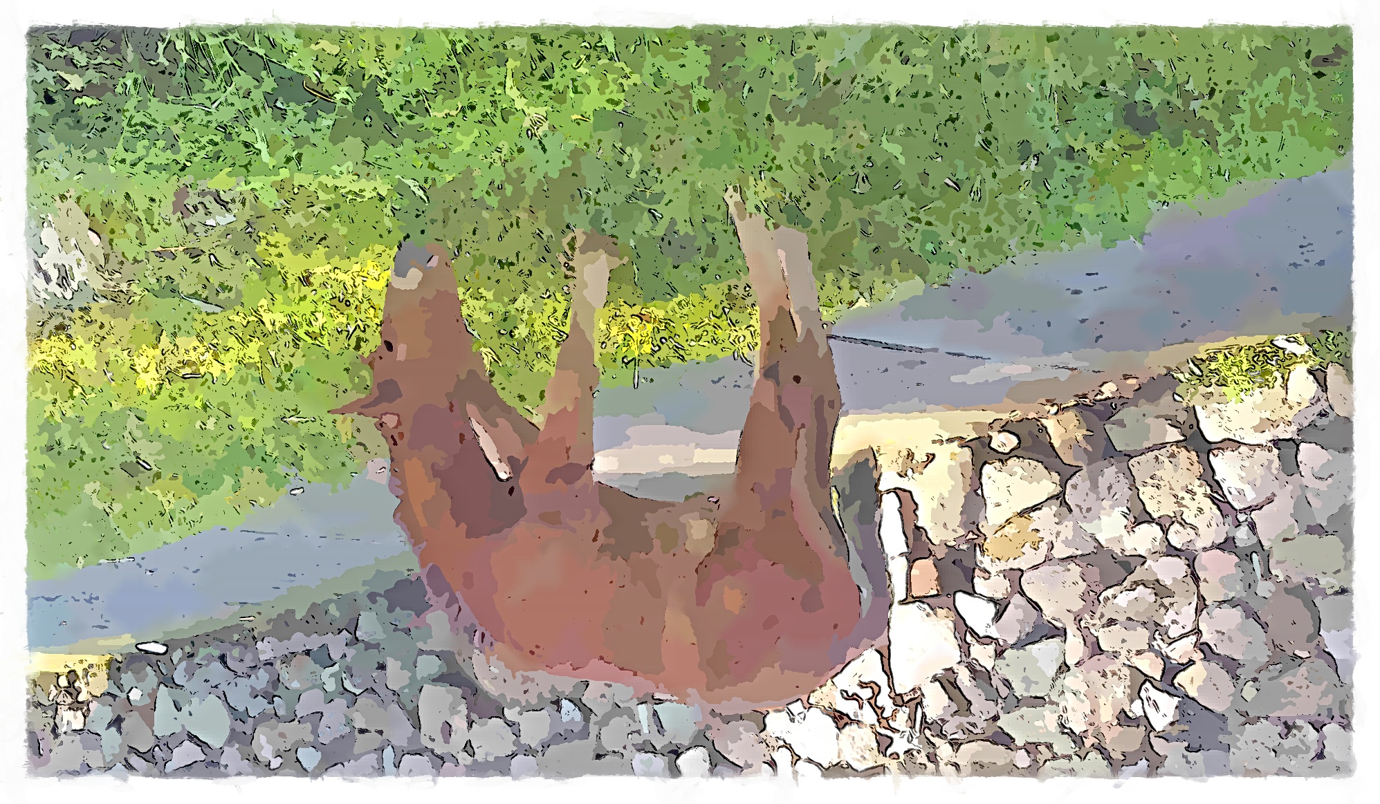 IMG_20220622_090851_894_FotoSketcher.jpg