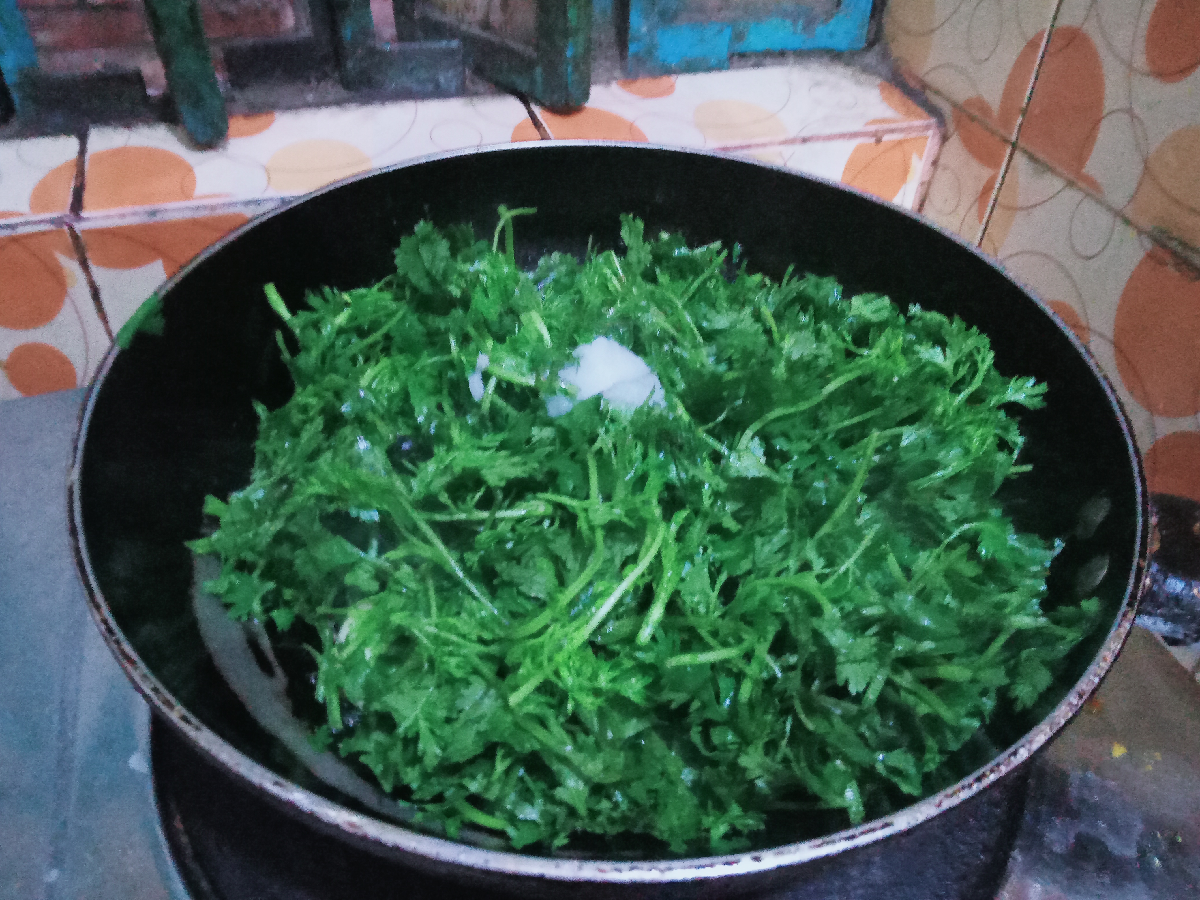 Dhania pata (7).jpg