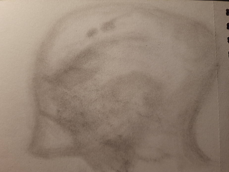 20260528_102626.jpg