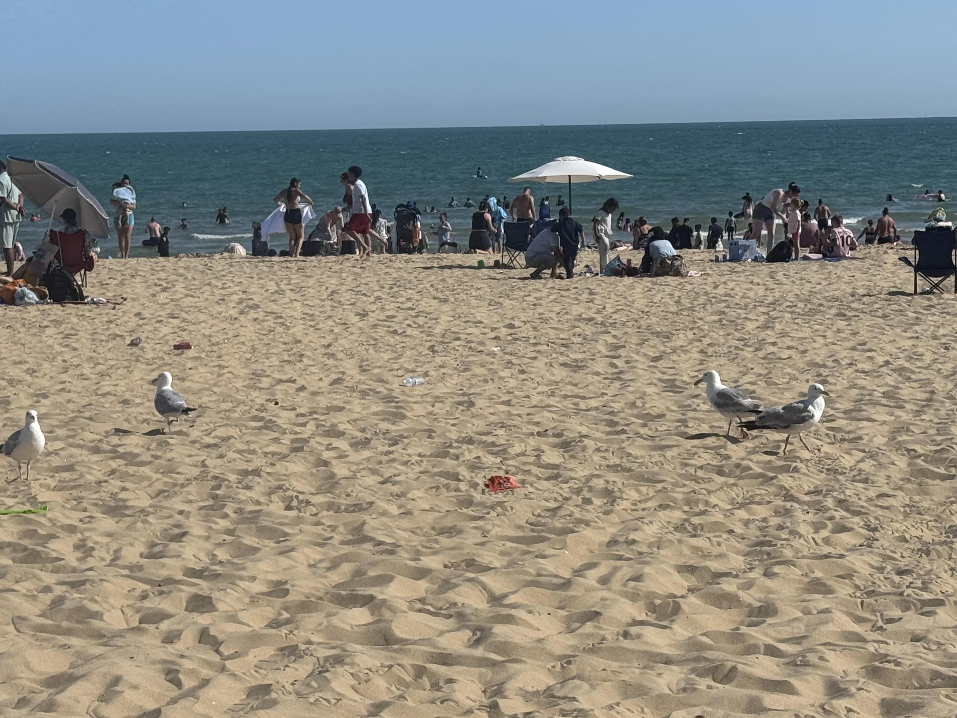 IMG_4104.jpeg