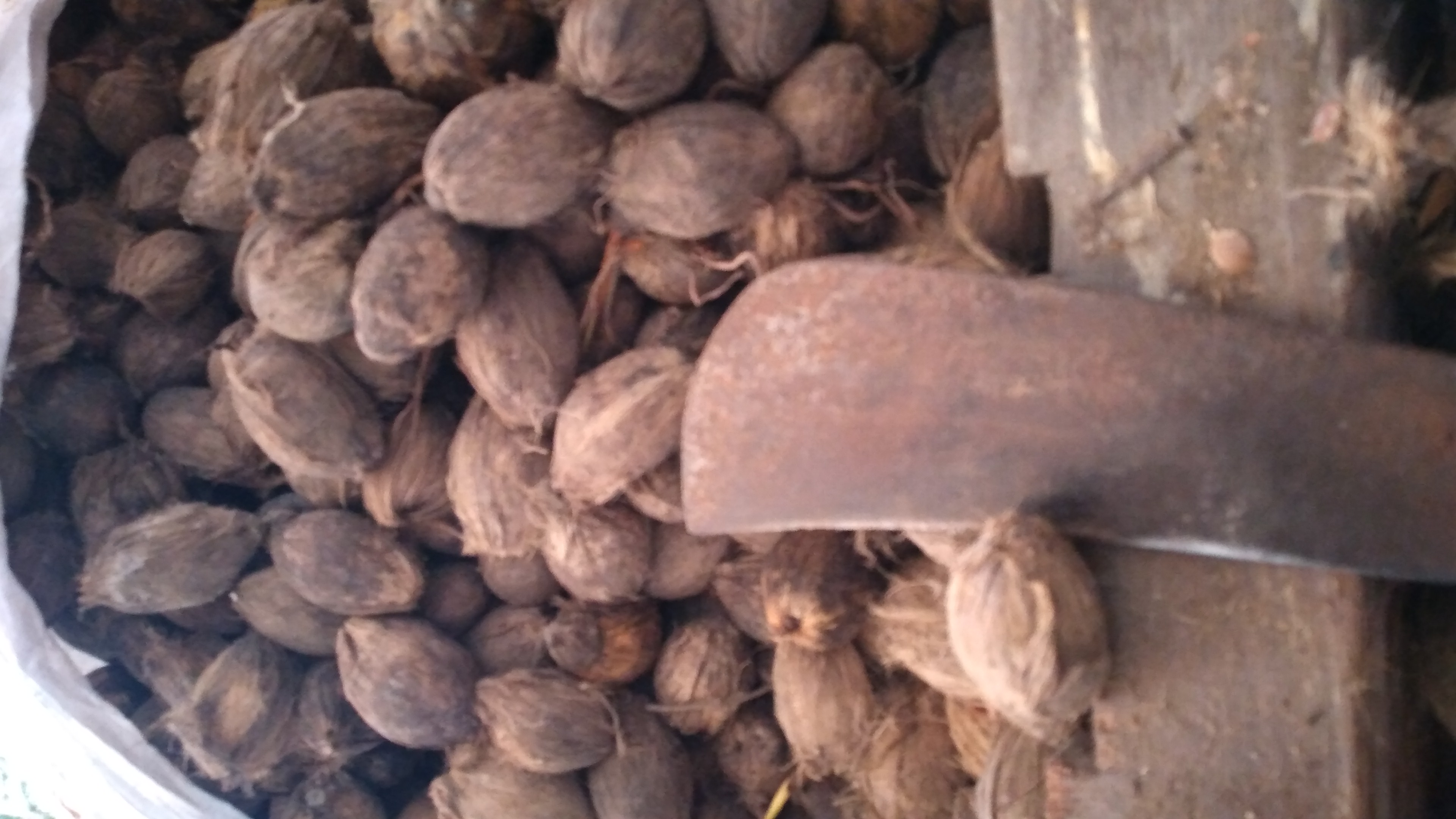 IMG-20230119-WA0002.jpeg