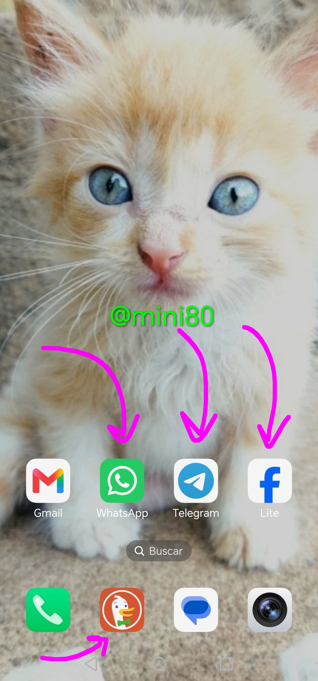 1000326965.jpg