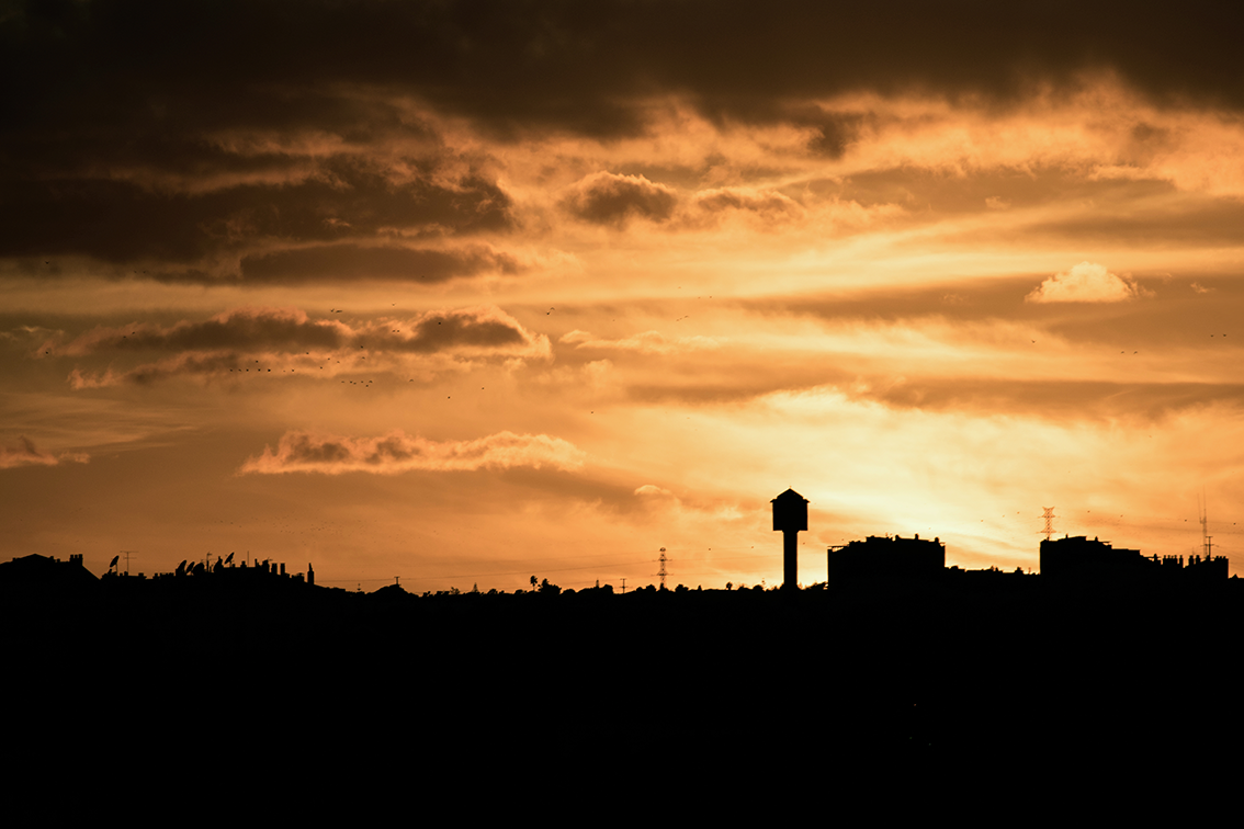 DSC_2480-2-Exp-ST.png