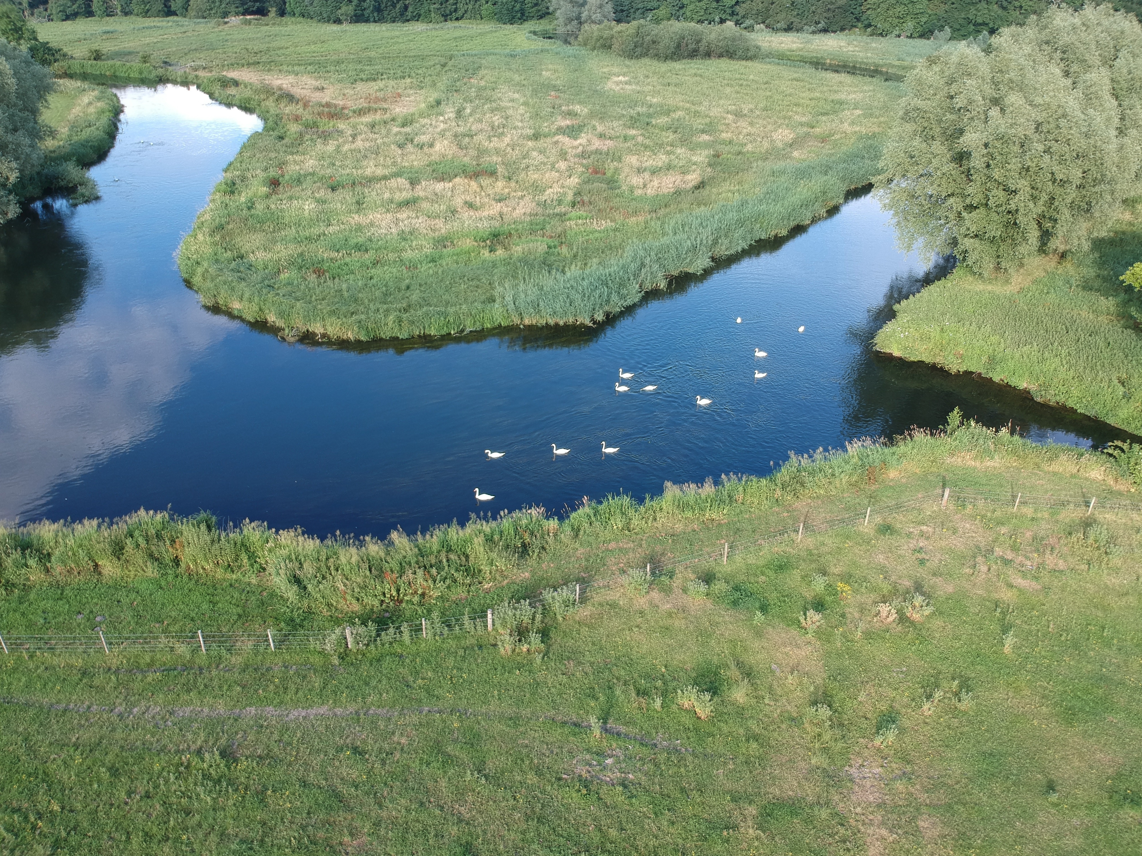 DJI_0030.jpg