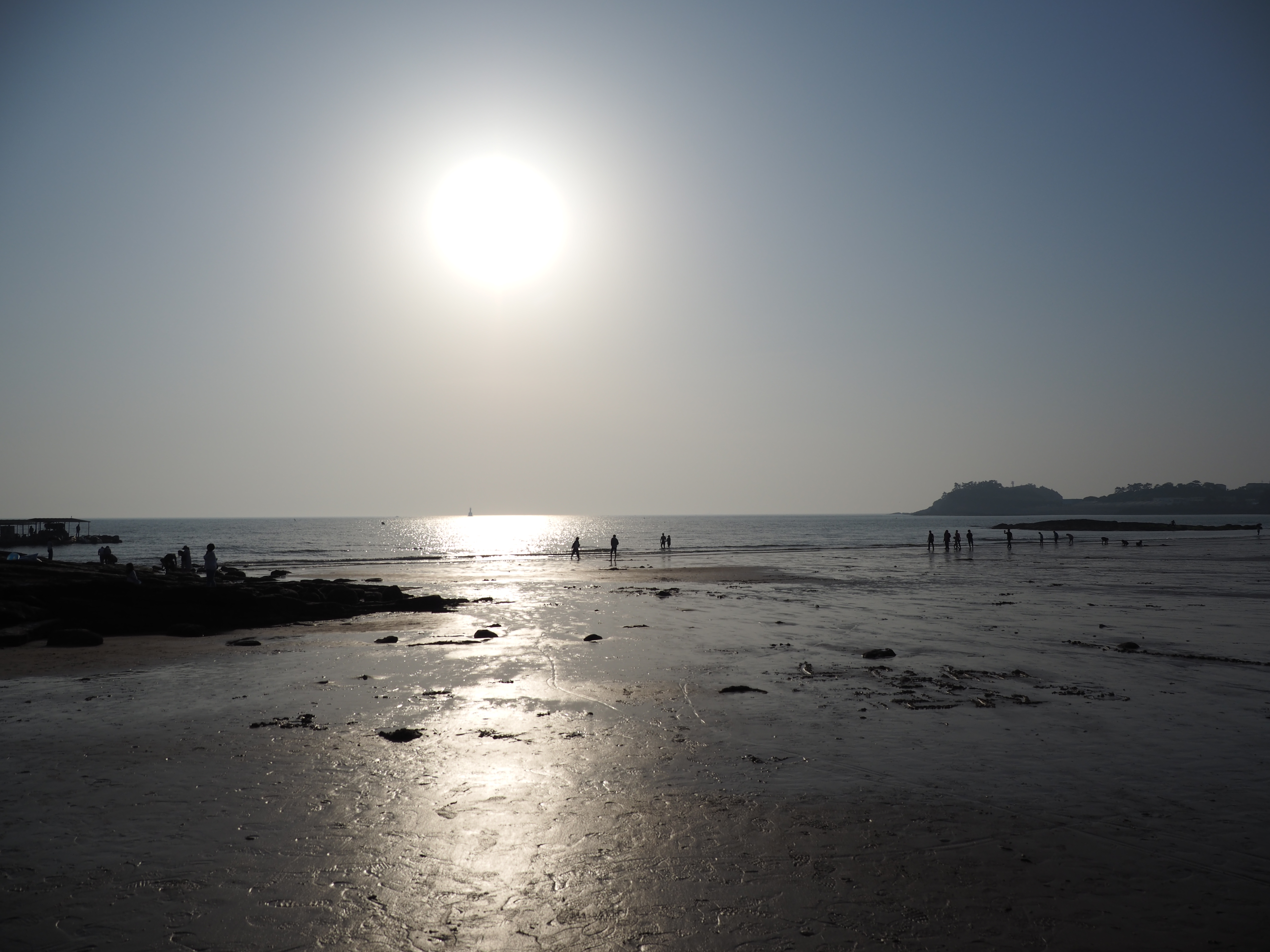 P5260540.JPG