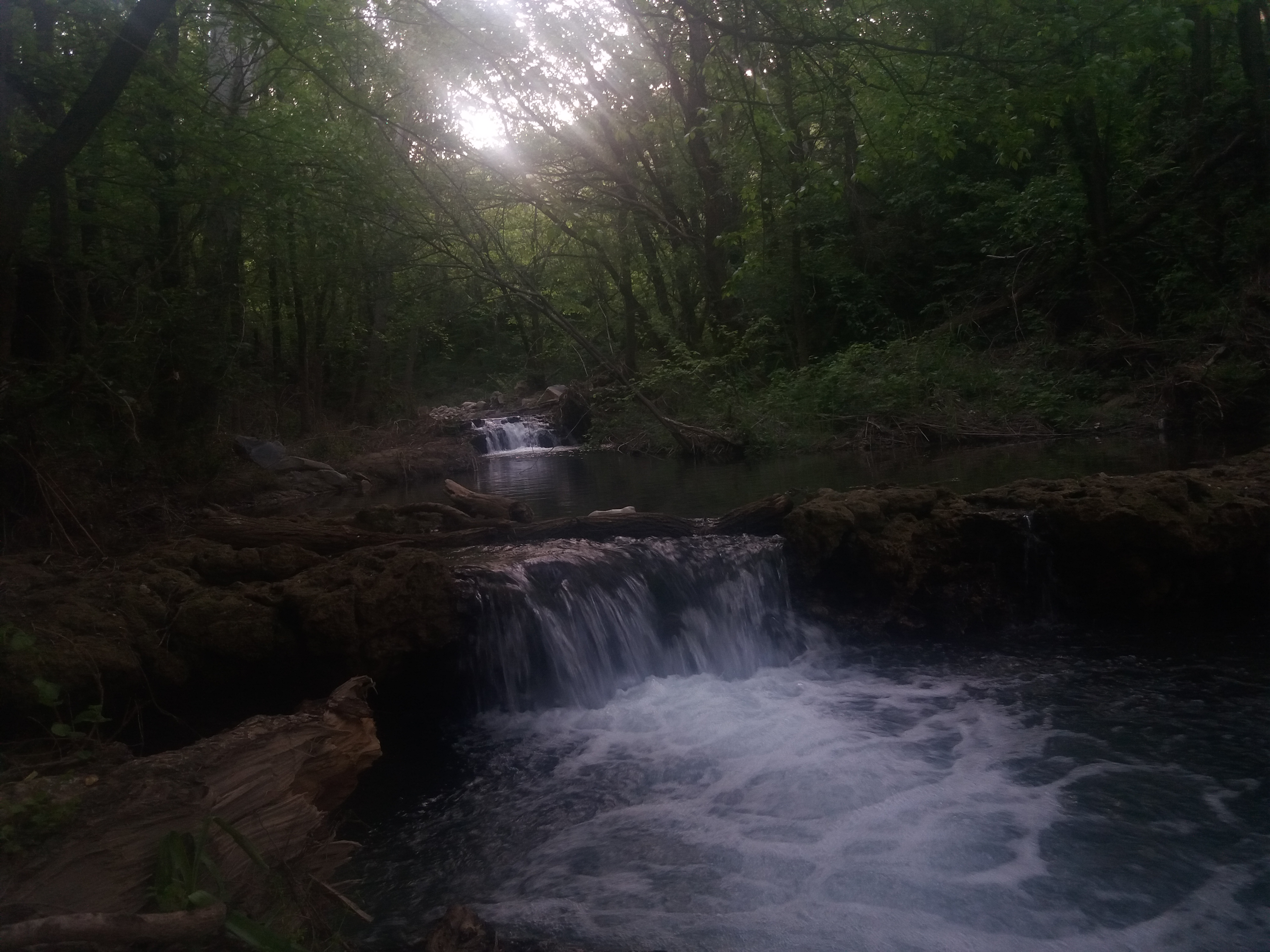 20180426_181849.jpg