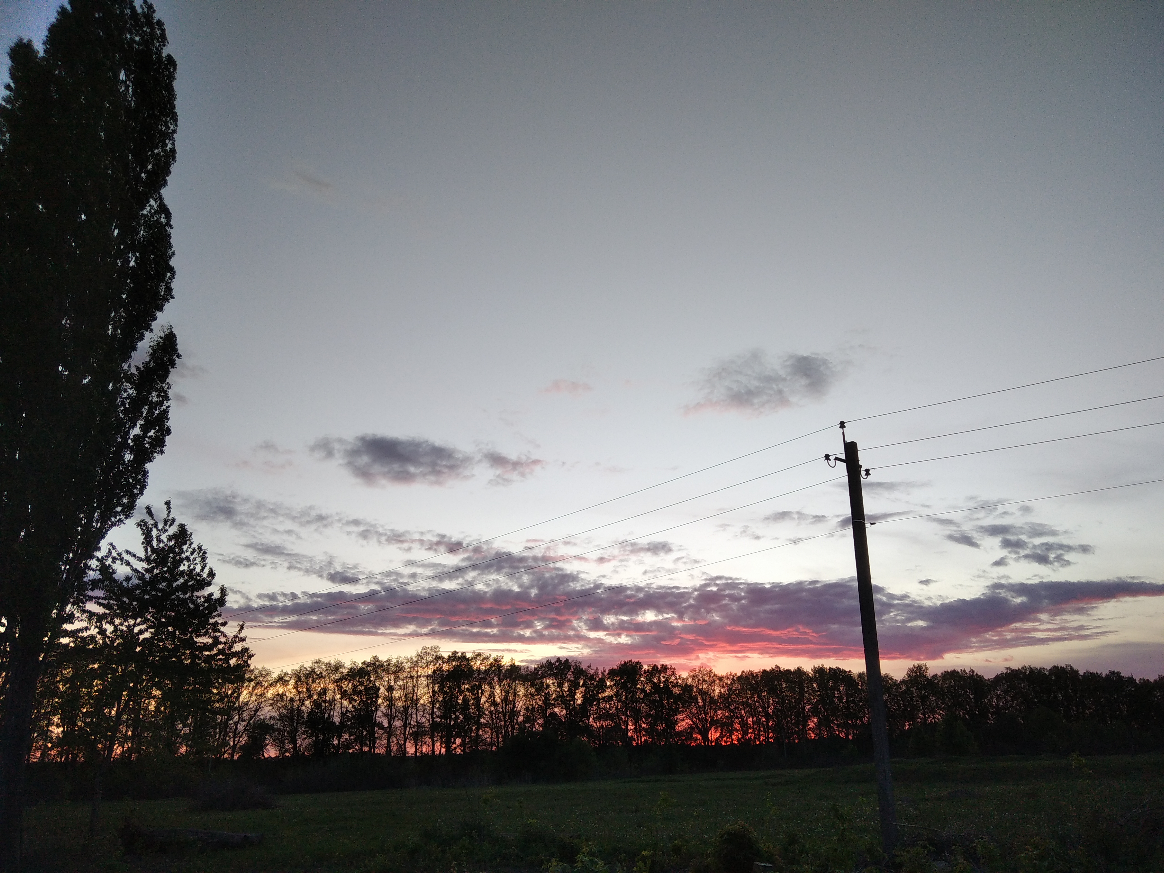 IMG_20220519_204816.jpg