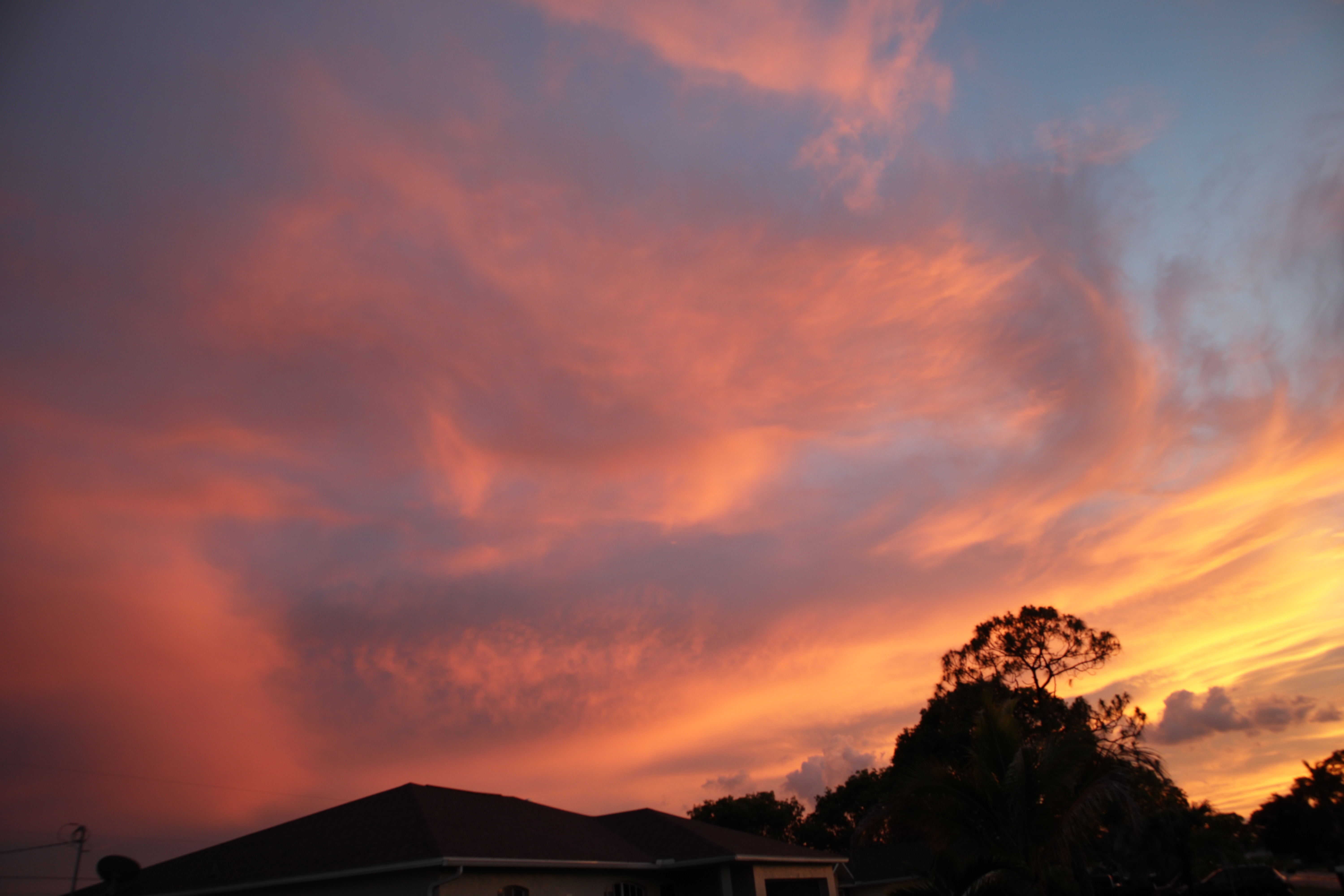 5427D0AA-0E15-4B30-8C4E-3330A4A114B6.jpeg