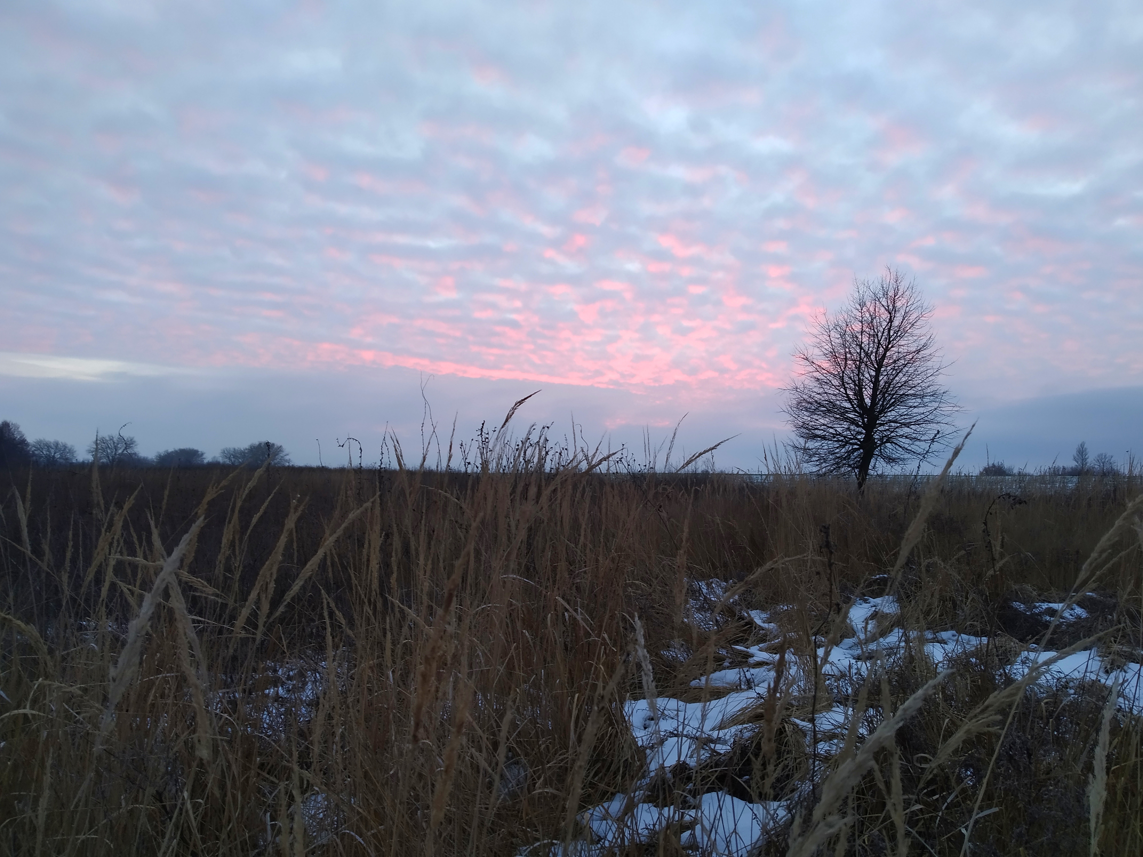 IMG_20201222_180315.jpg