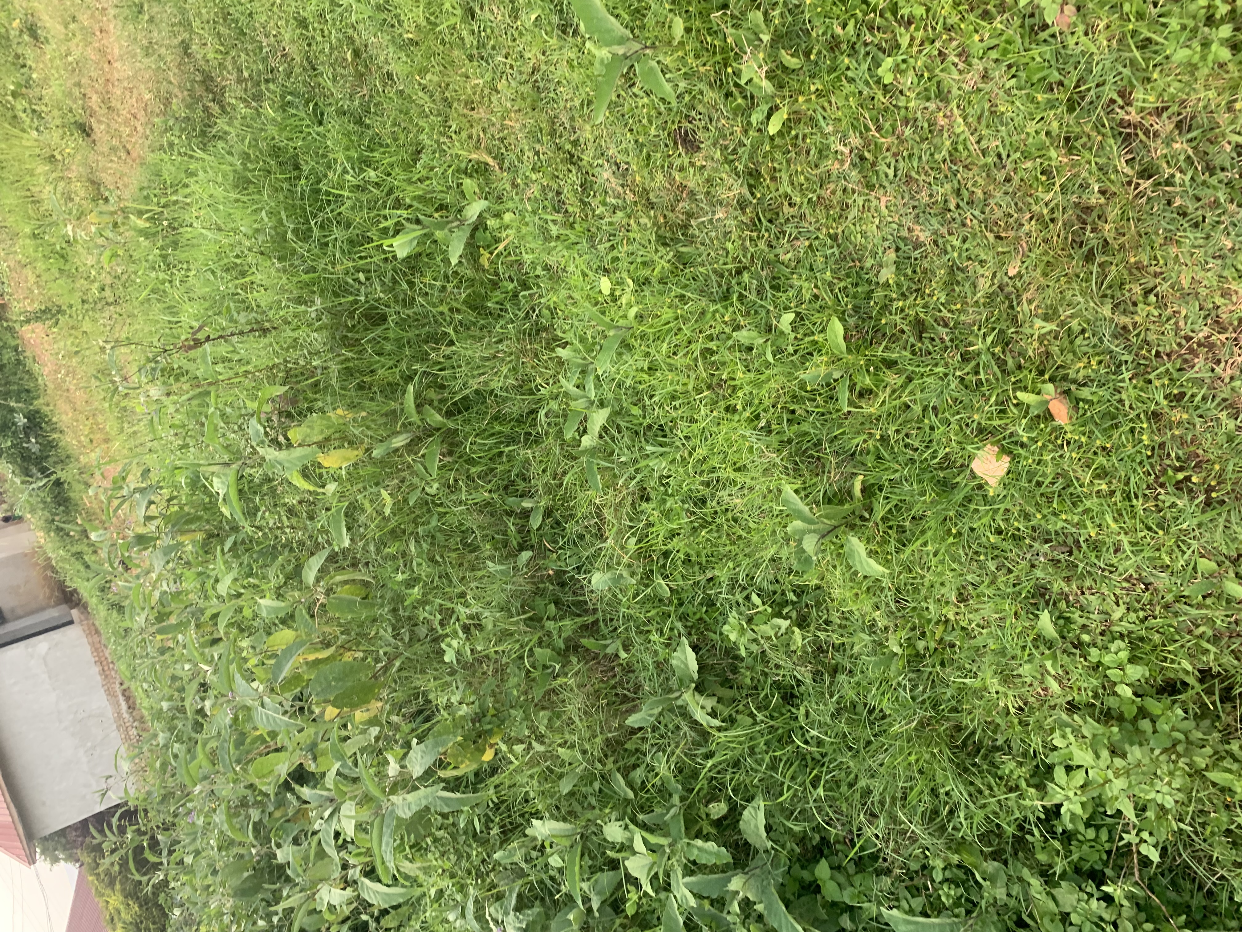 IMG_1401.jpeg