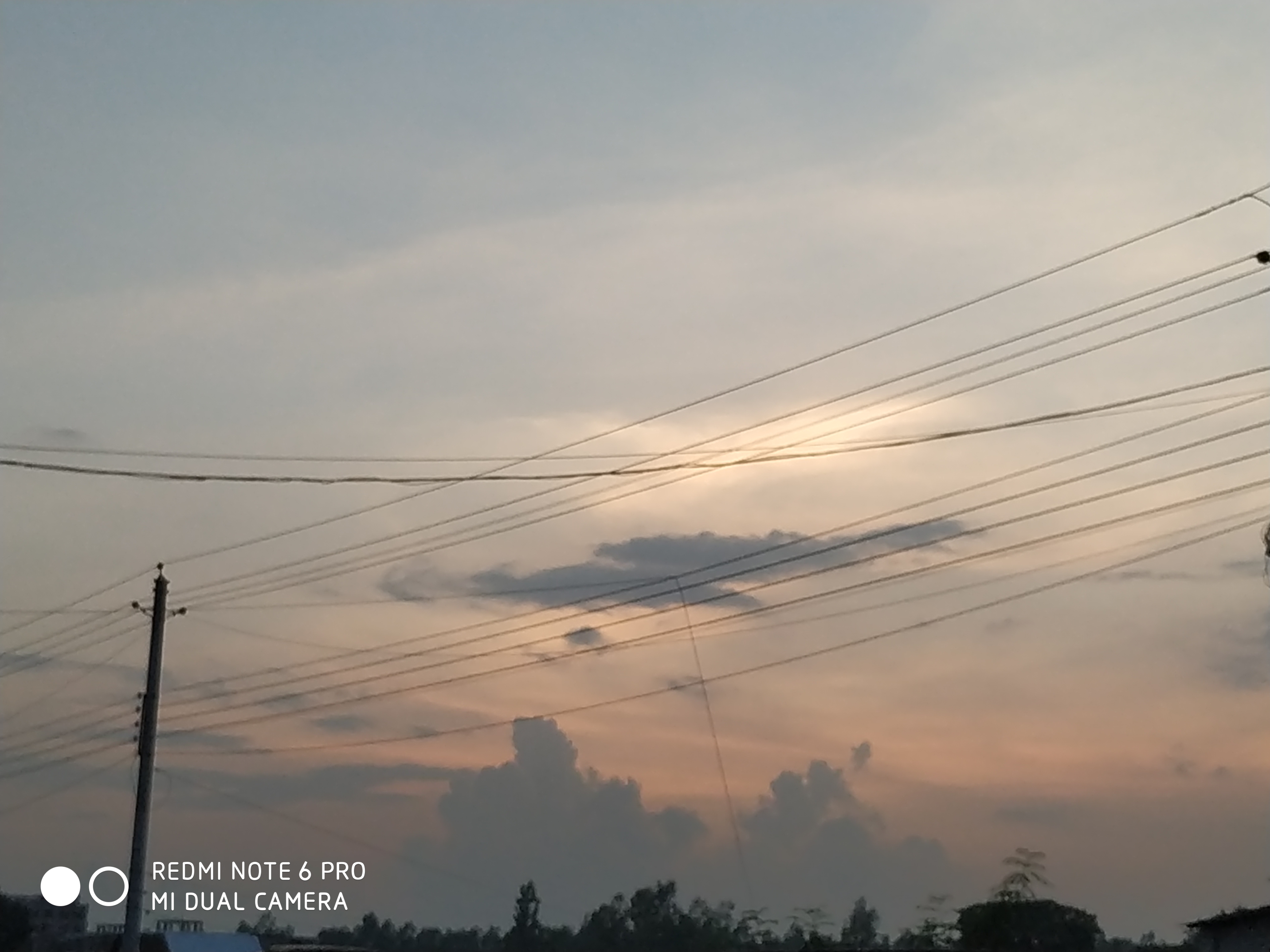 IMG_20190720_185430.jpg
