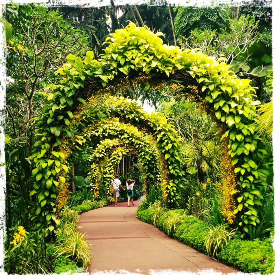 Singapore BG9.jpg